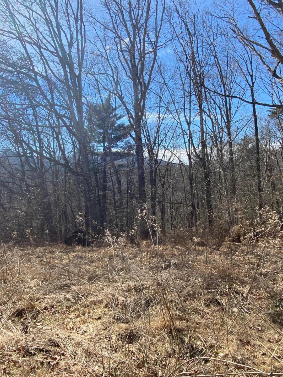 Lot 28 River Rock RD - Photo 3
