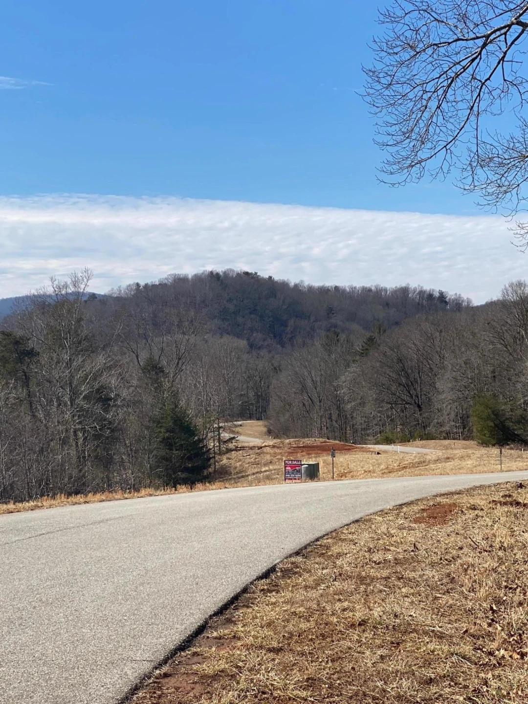 Lot 28 River Rock RD - Photo 7
