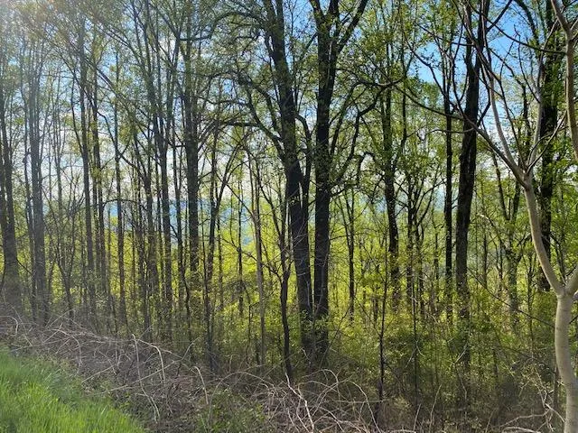 0 Jeters Chapel RD, Vinton, VA, 24179