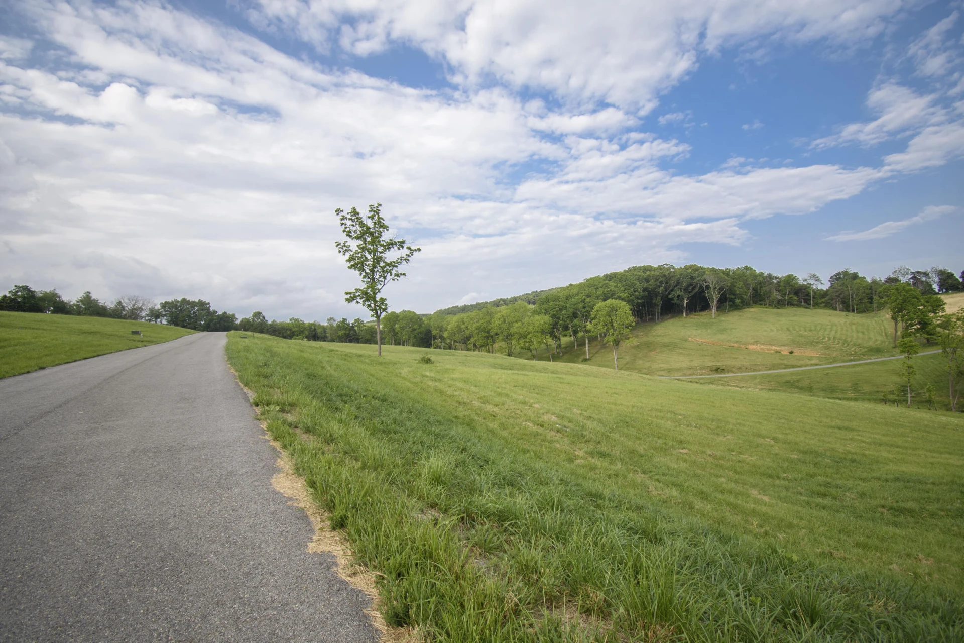 LOT 10 Tanager Cove - Photo 20