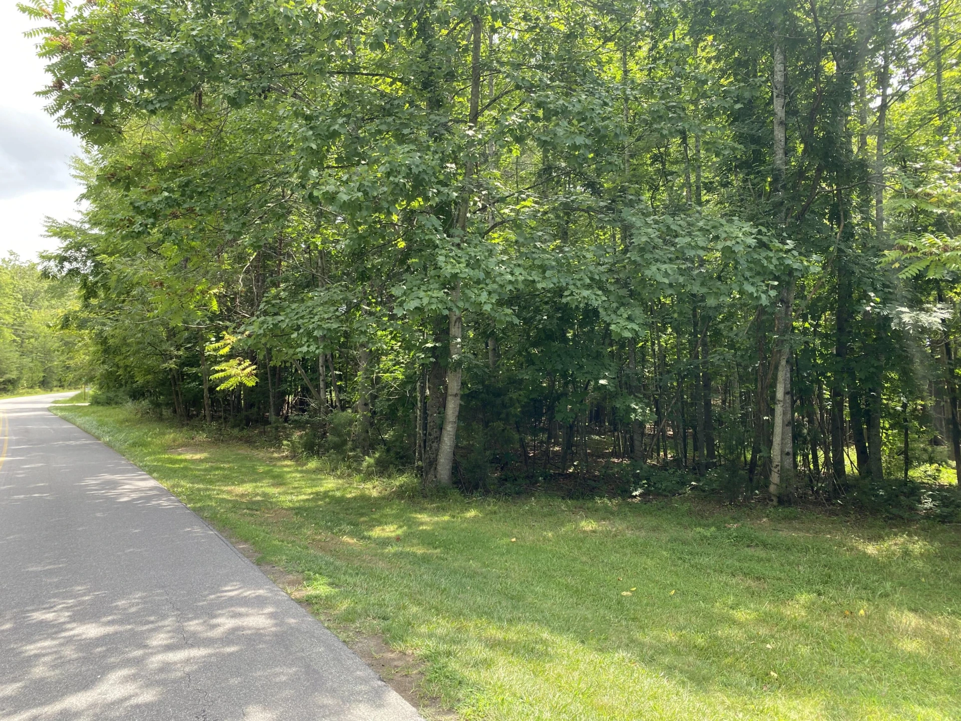 0 Bull Run DR - Photo 10