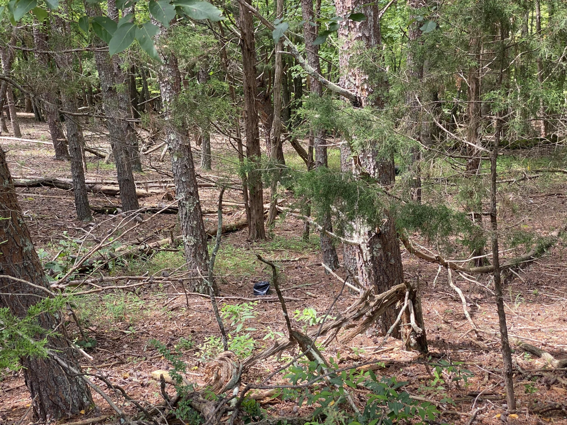 0 Bull Run DR - Photo 9