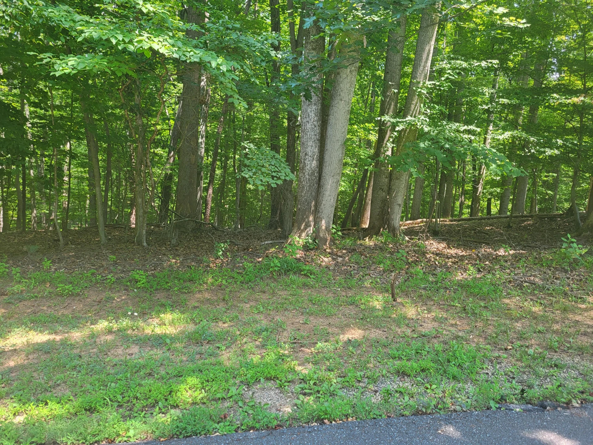Lot 74 Land Harbor LN