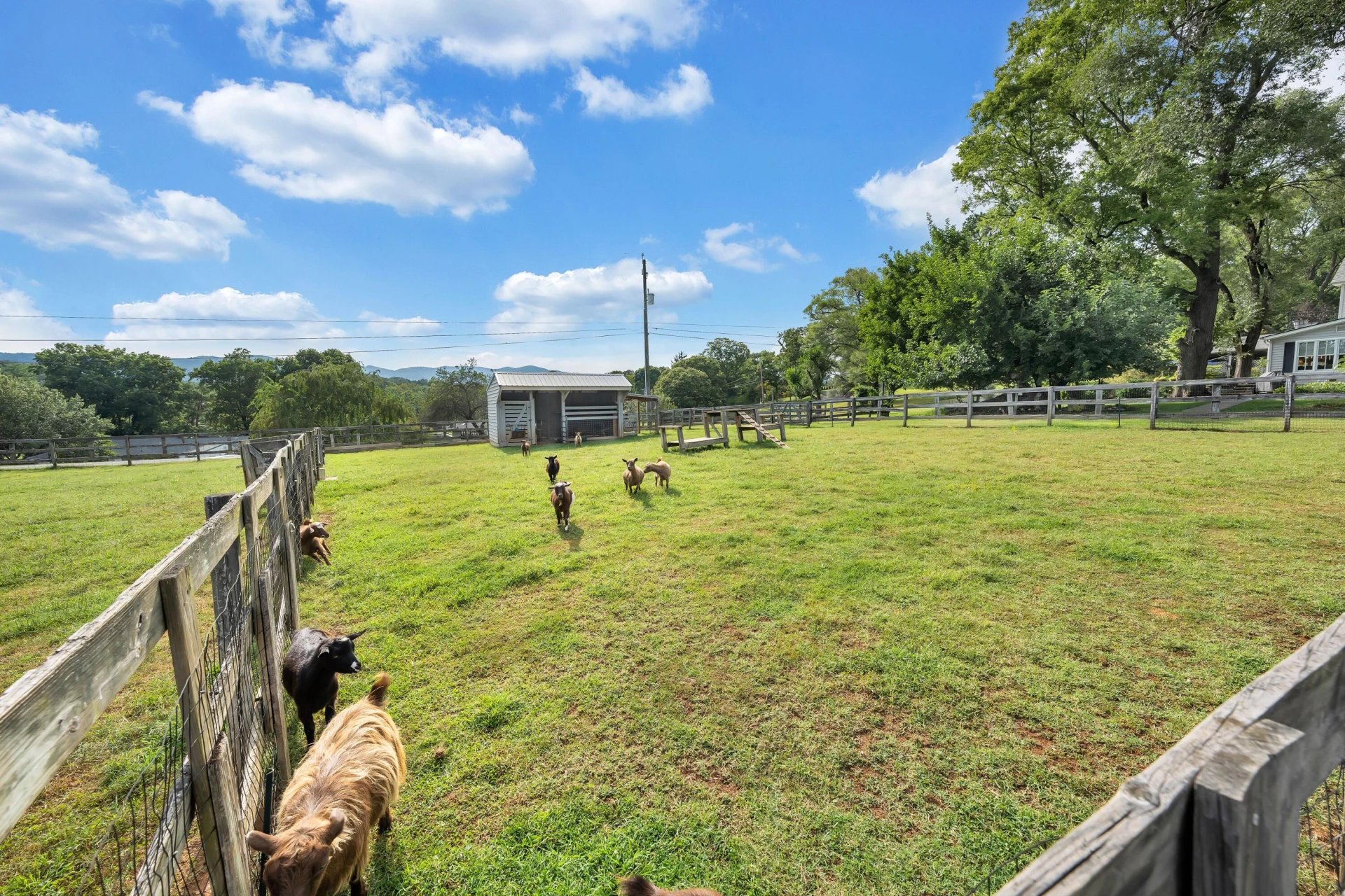 3734 Lake DR - Photo 64