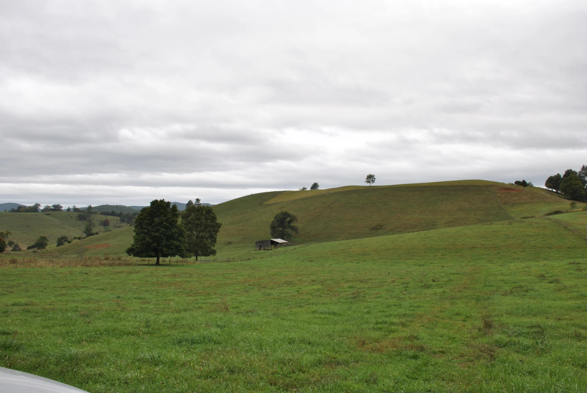 4210 Skydusky RD - Photo 12