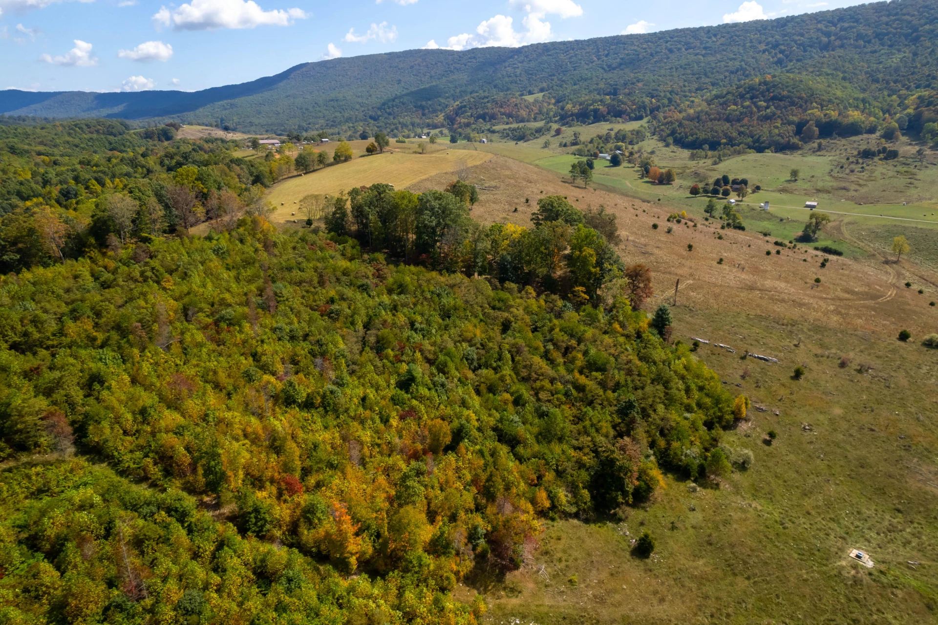 4210 Skydusky RD - Photo 18