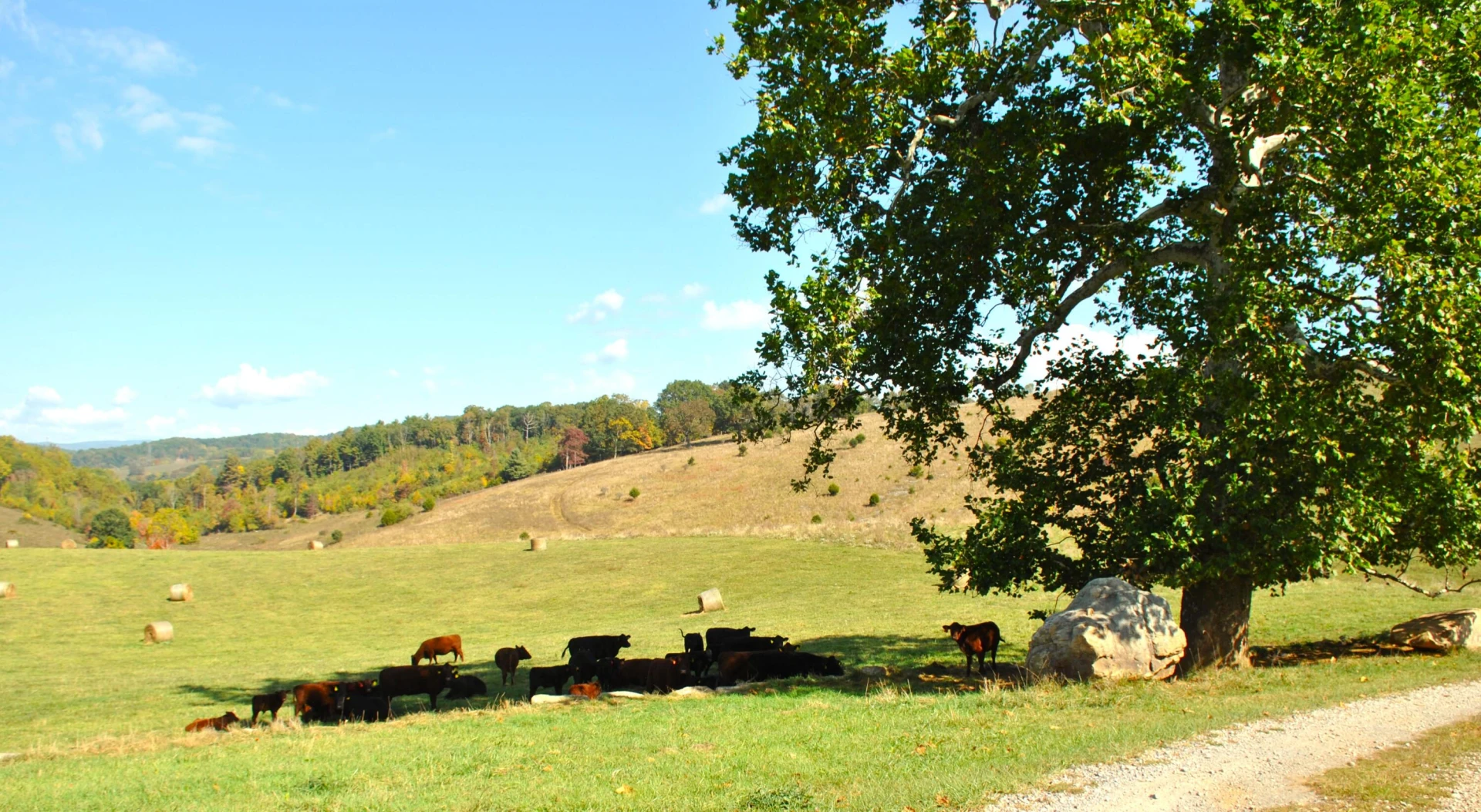 4210 Skydusky RD - Photo 30