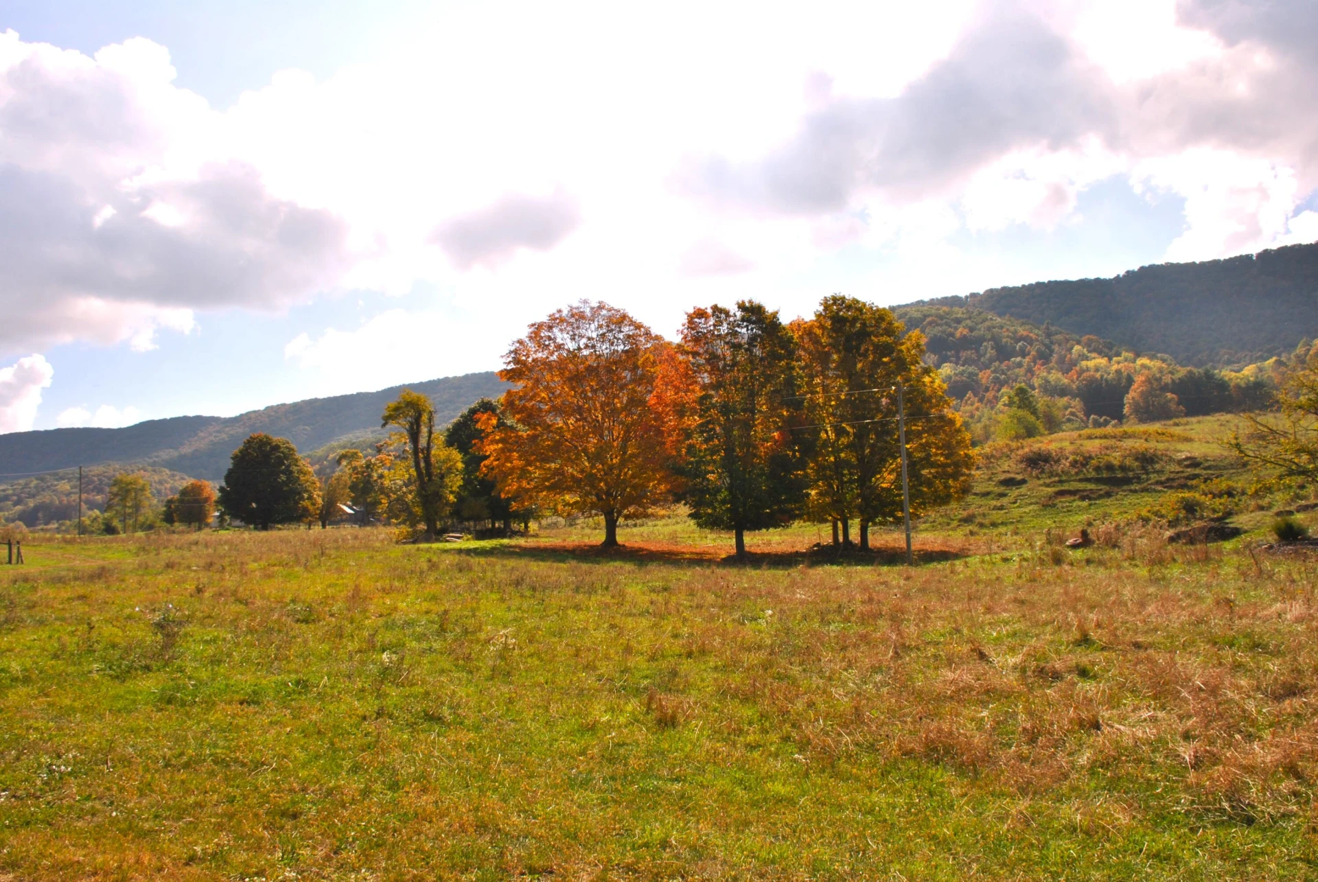 4210 Skydusky RD - Photo 31