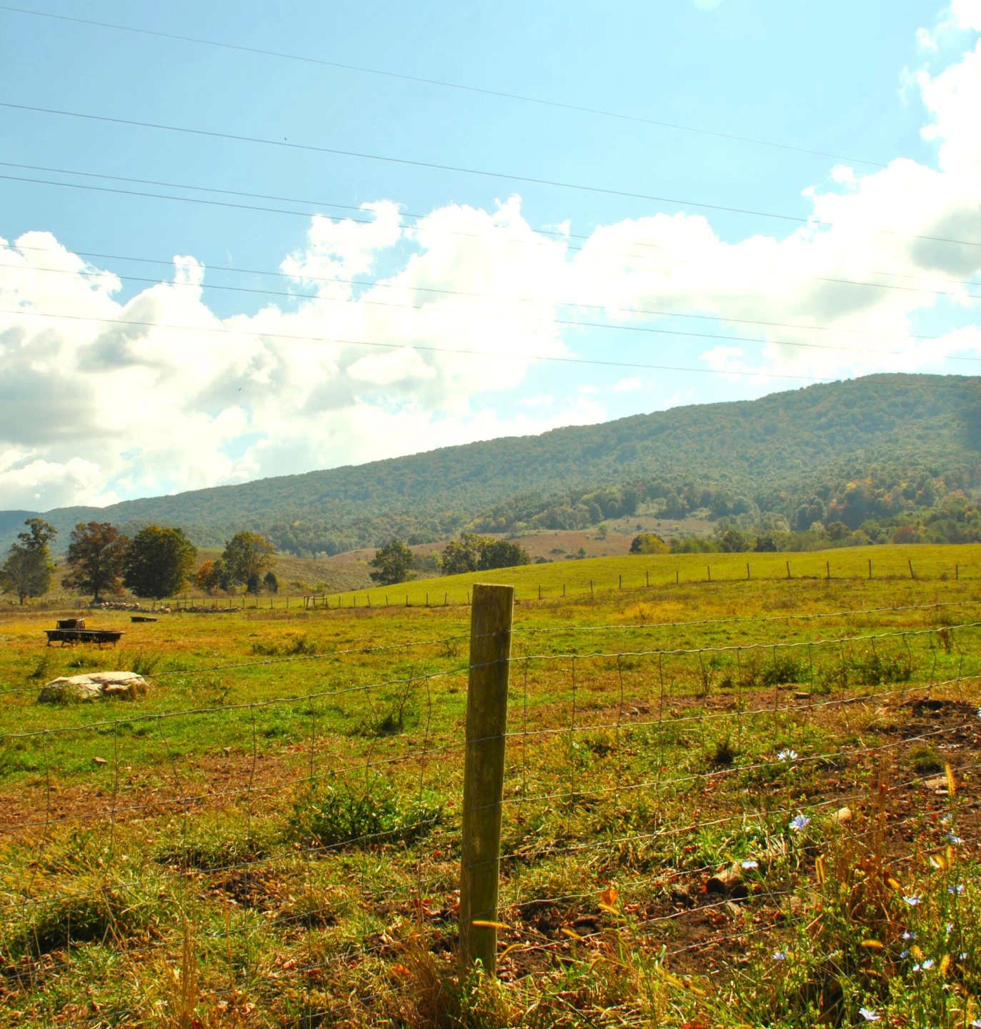 4210 Skydusky RD - Photo 32