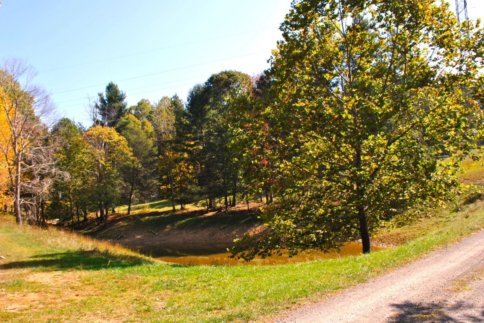 4210 Skydusky RD - Photo 33