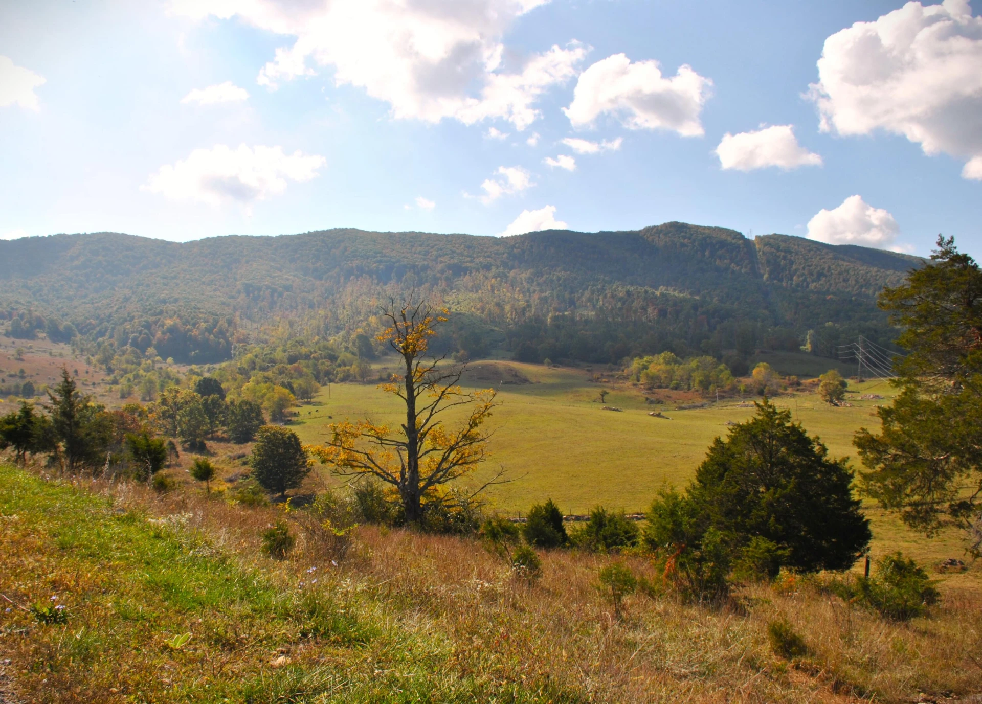 4210 Skydusky RD - Photo 35