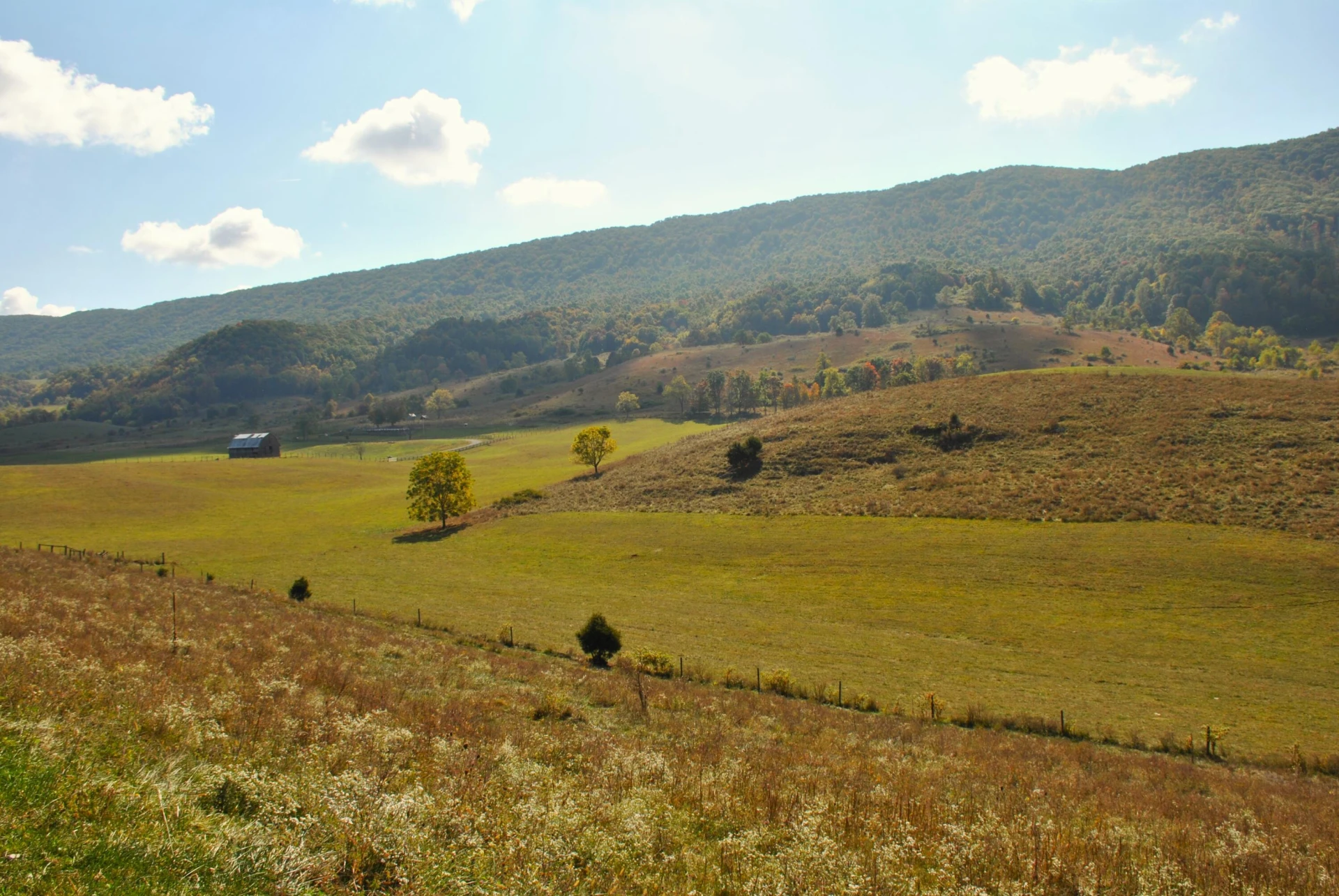 4210 Skydusky RD - Photo 37