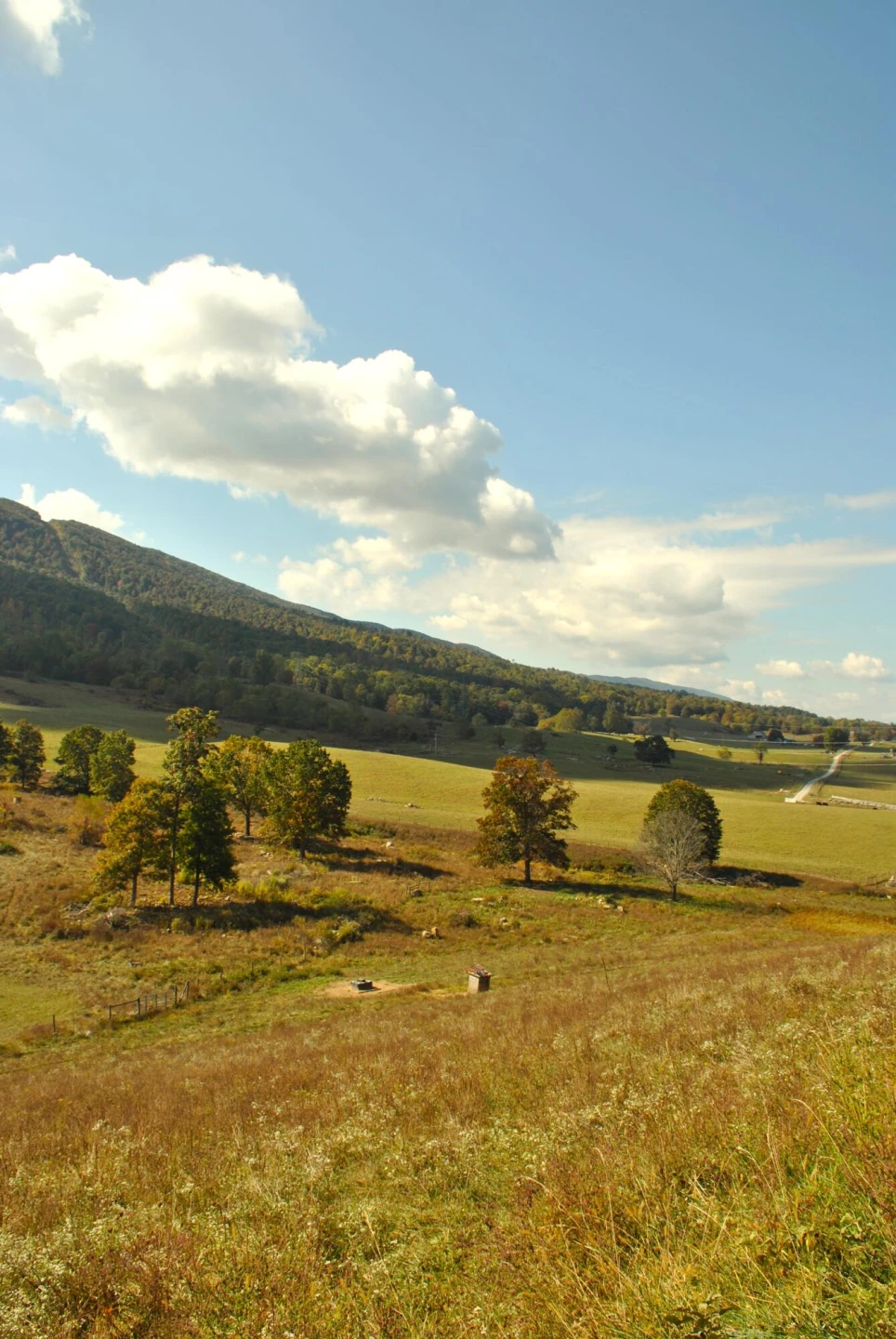 4210 Skydusky RD - Photo 38