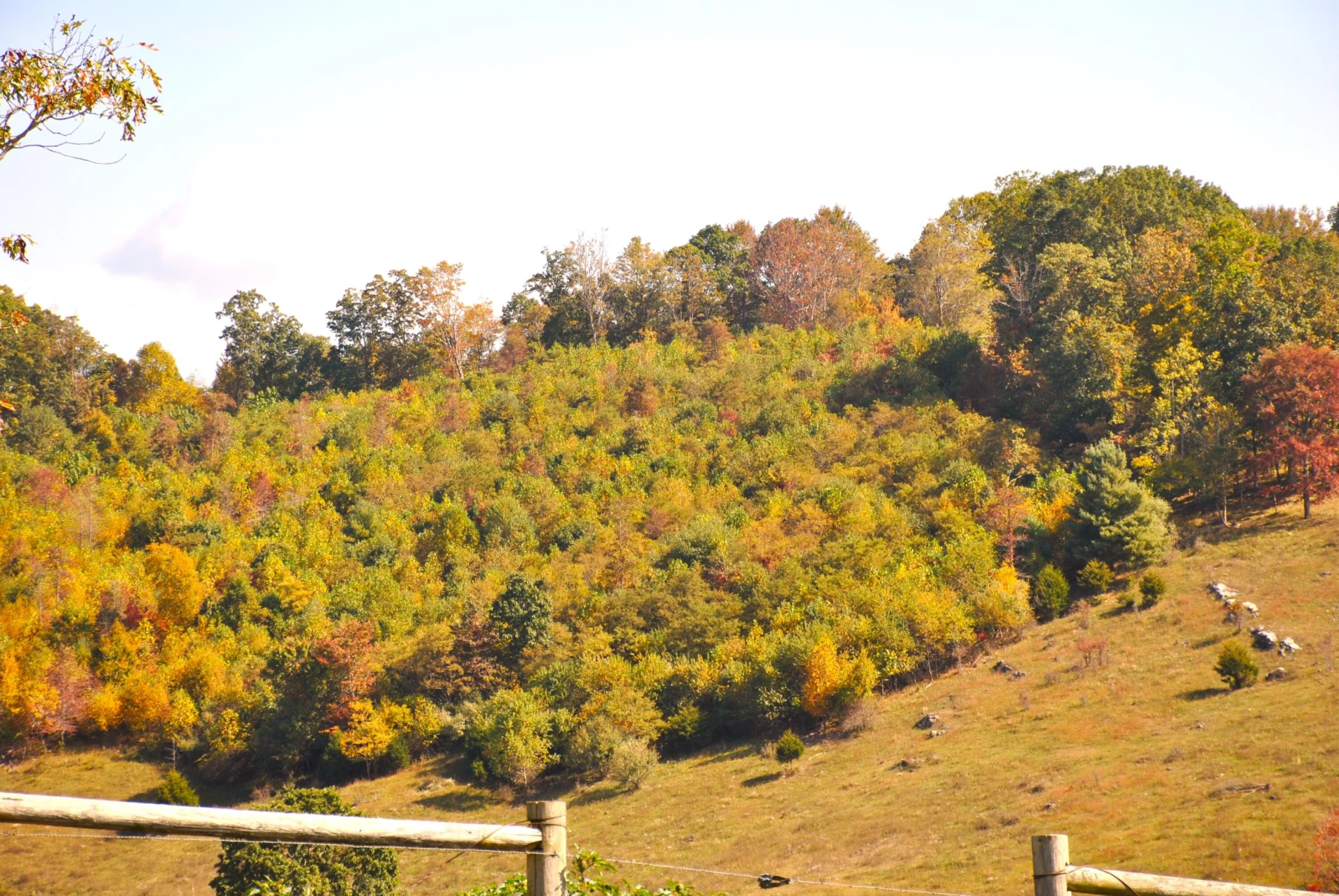 4210 Skydusky RD - Photo 40