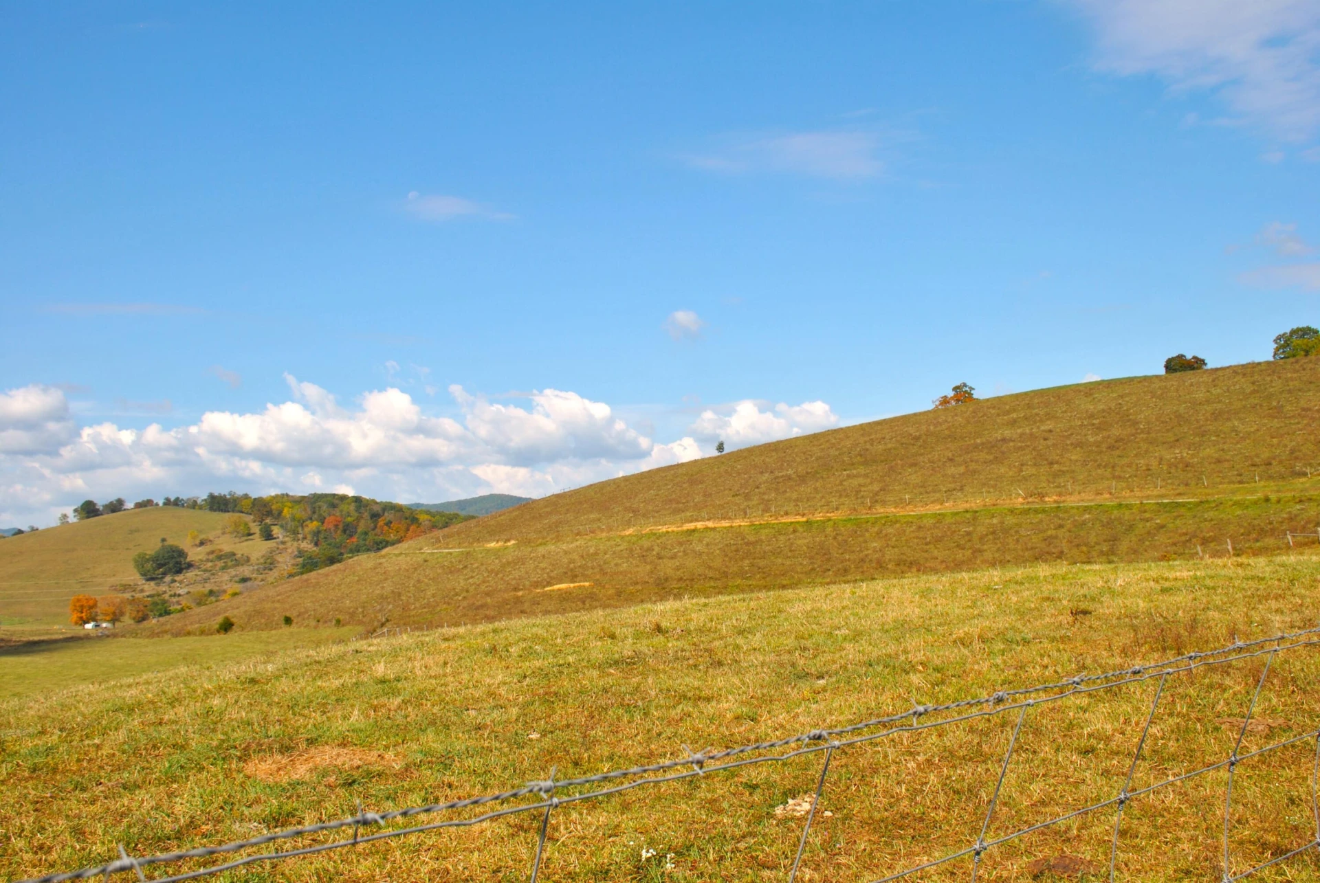 4210 Skydusky RD - Photo 41