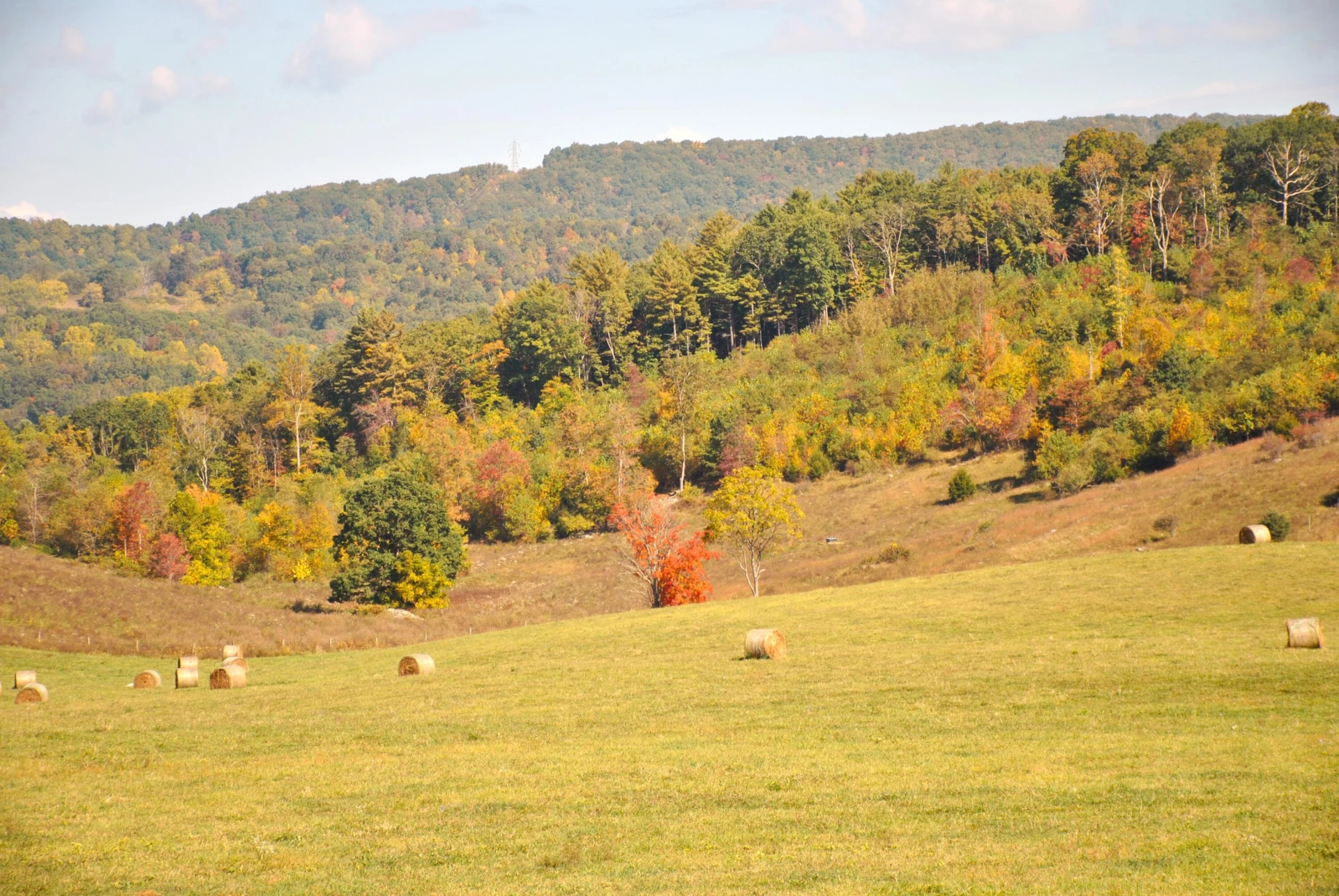 4210 Skydusky RD - Photo 44