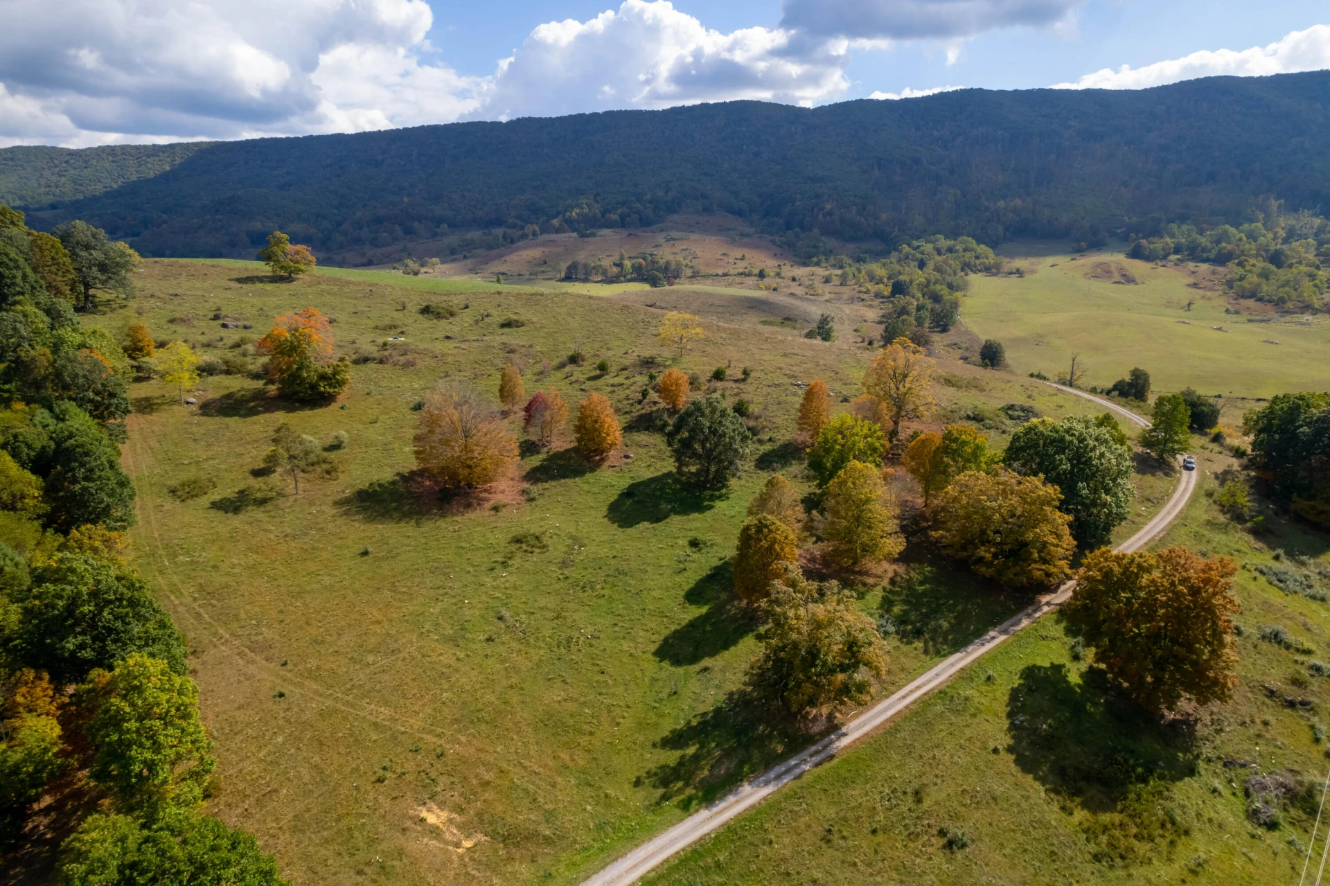 4210 Skydusky RD - Photo 6