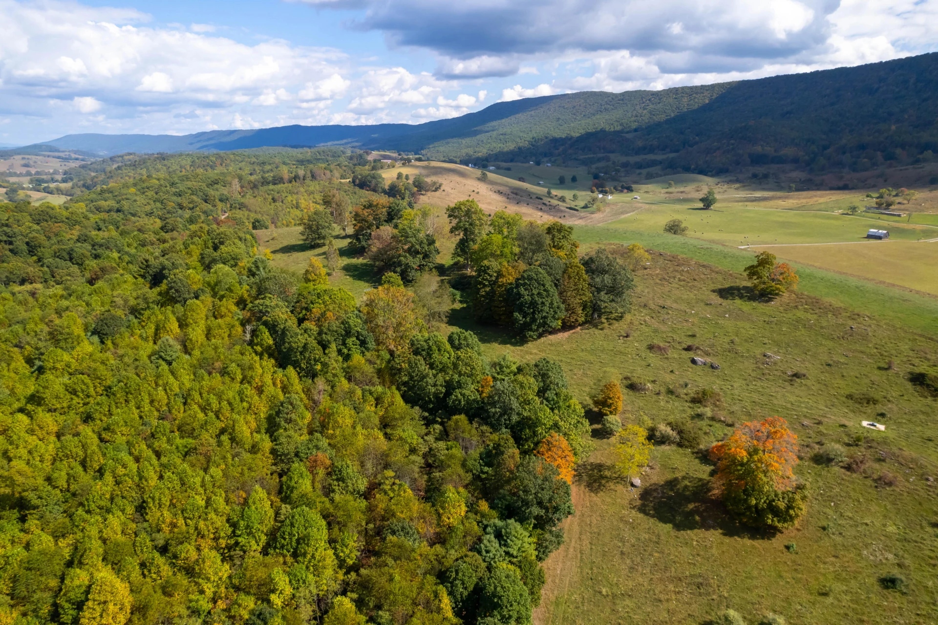 4210 Skydusky RD - Photo 7