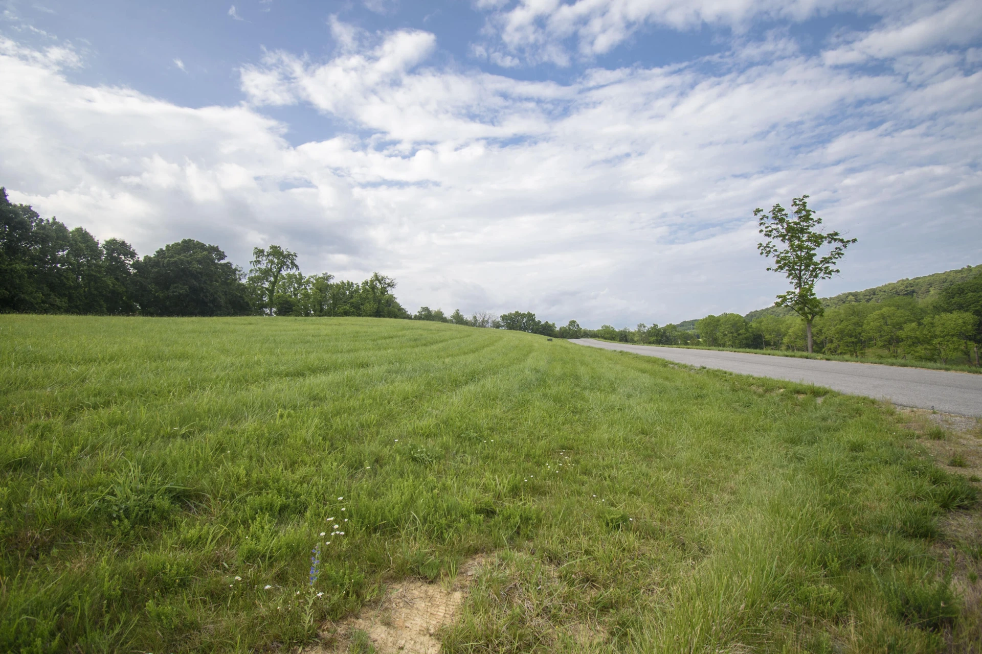 Lot 12 Tanager Cove - Photo 18