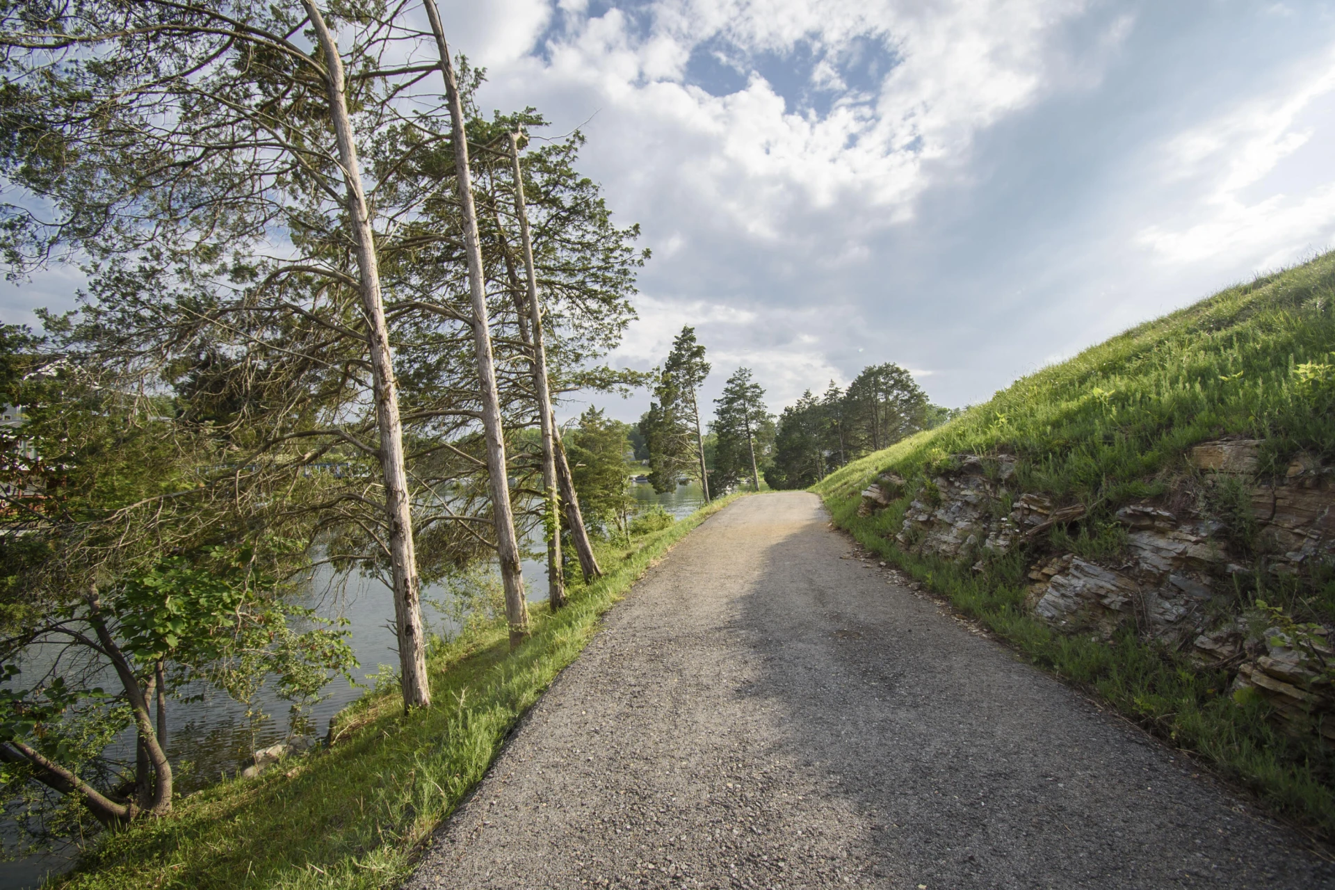 Lot 12 Tanager Cove - Photo 27