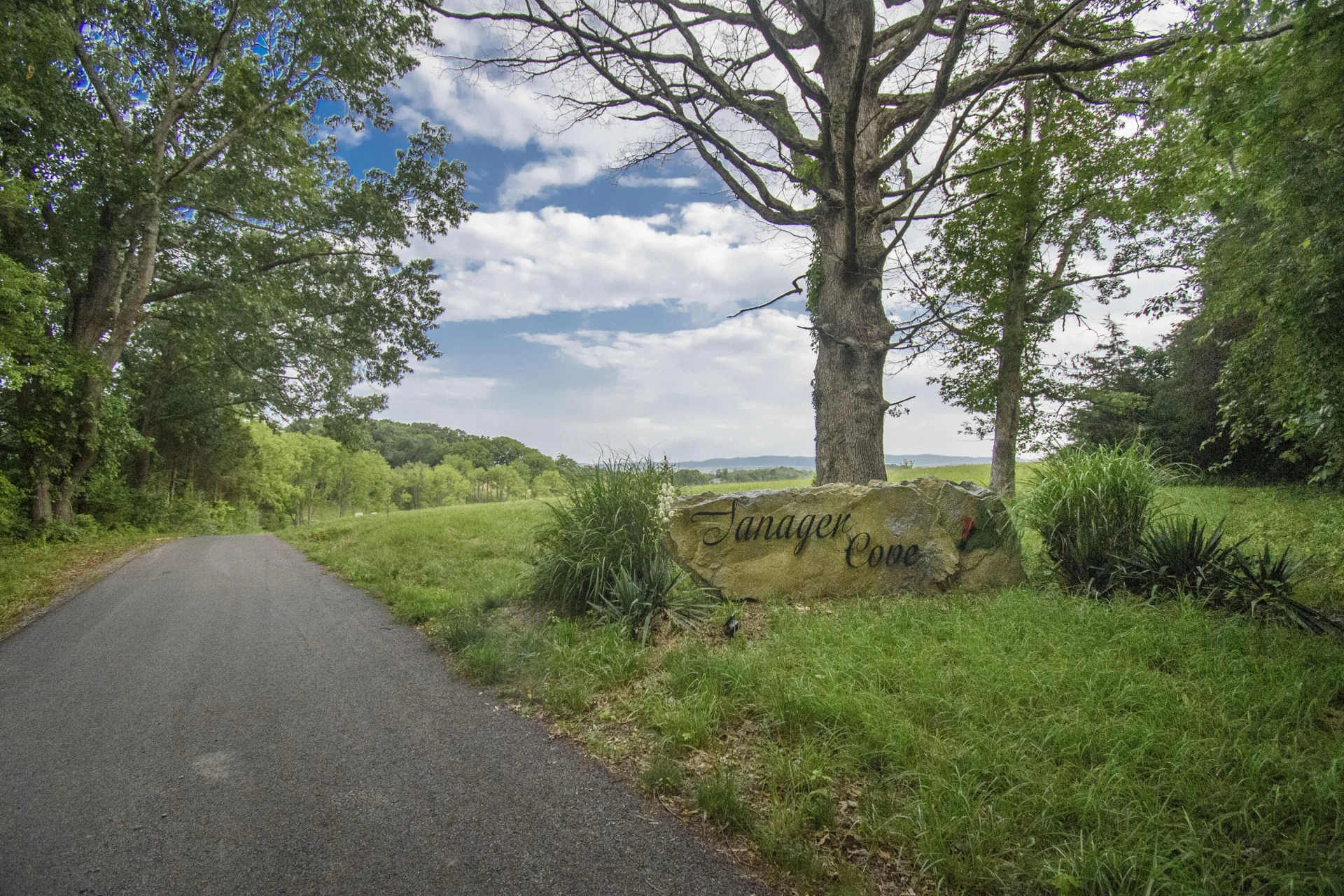 Lot 12 Tanager Cove - Photo 36