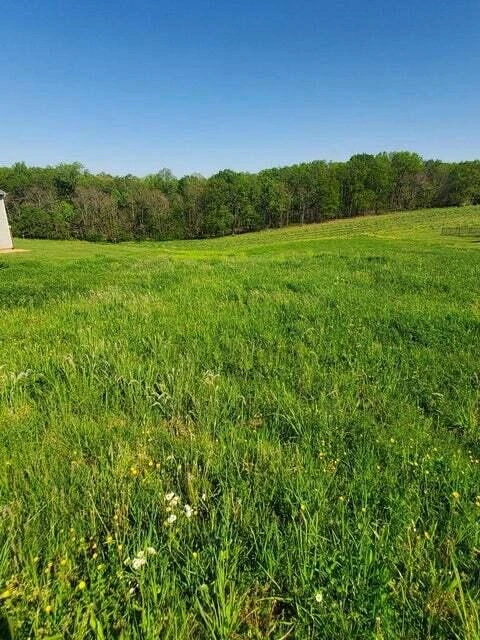 Lot 11 Calico Rock RD