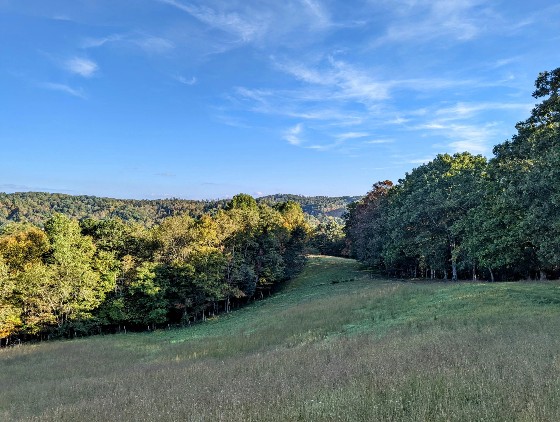 0 Laurel Creek RD - Photo 13