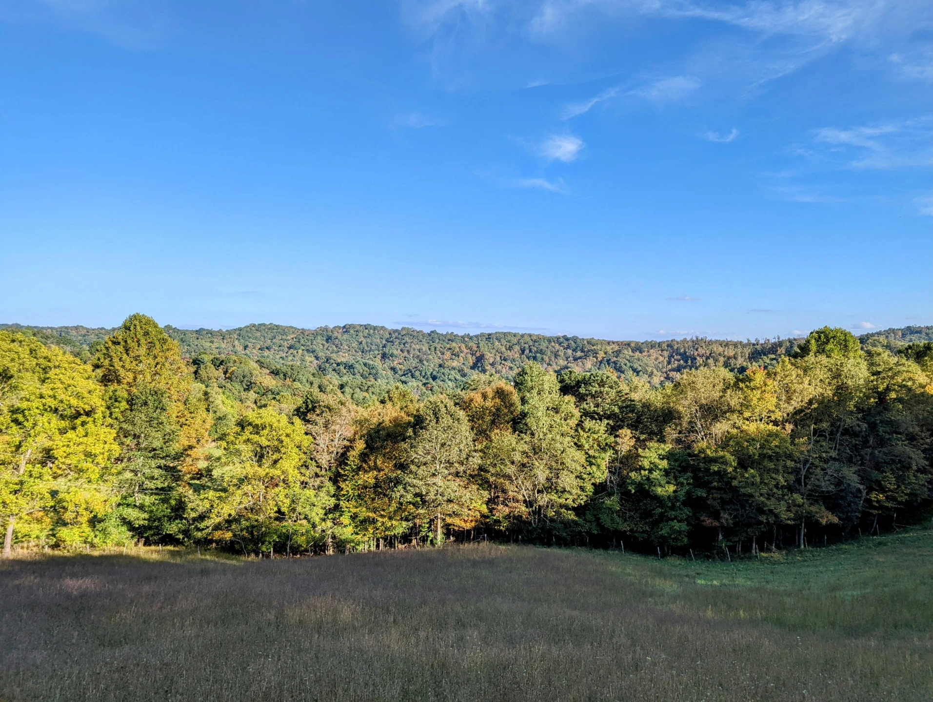 0 Laurel Creek RD - Photo 14