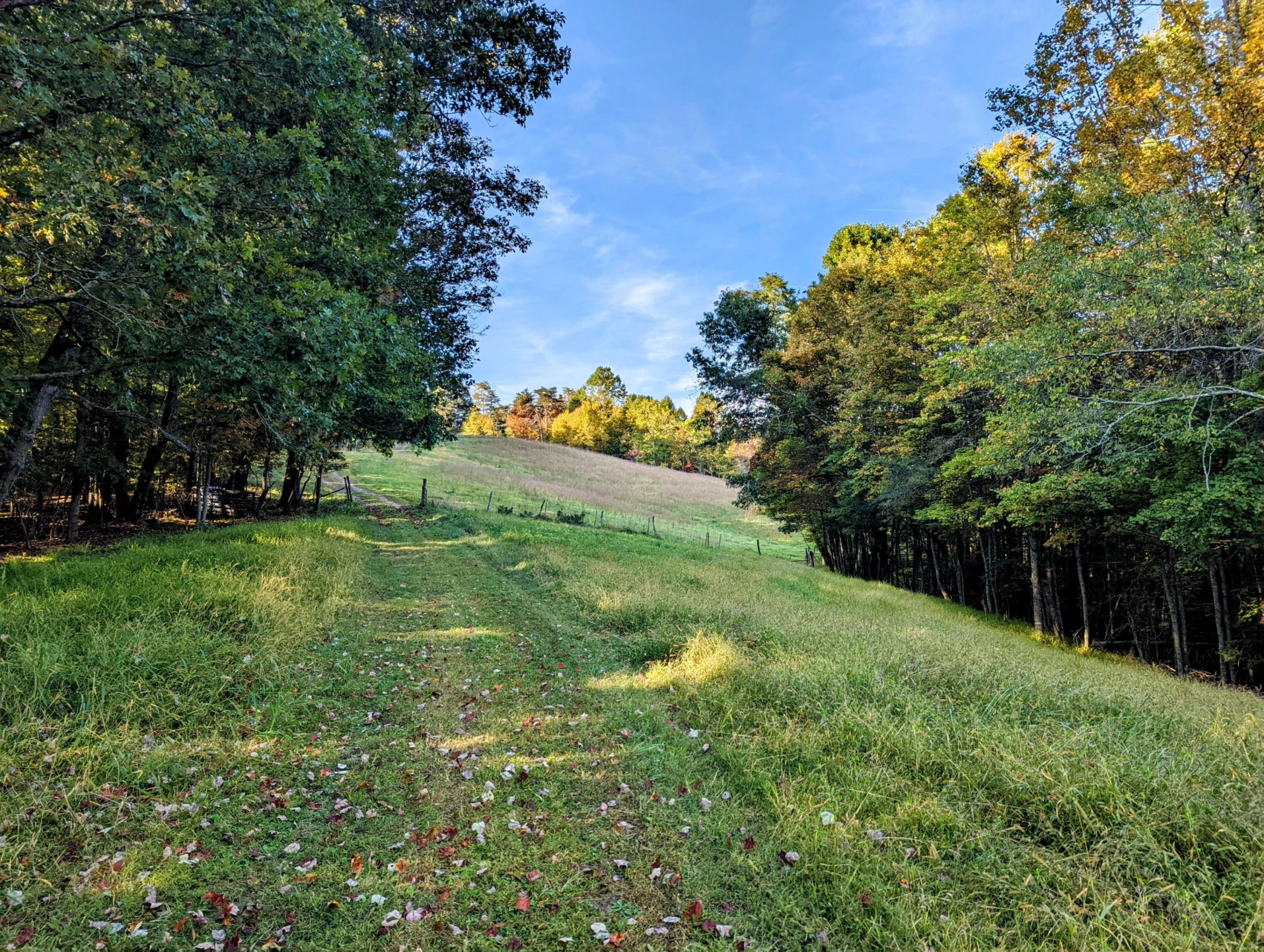 0 Laurel Creek RD - Photo 15