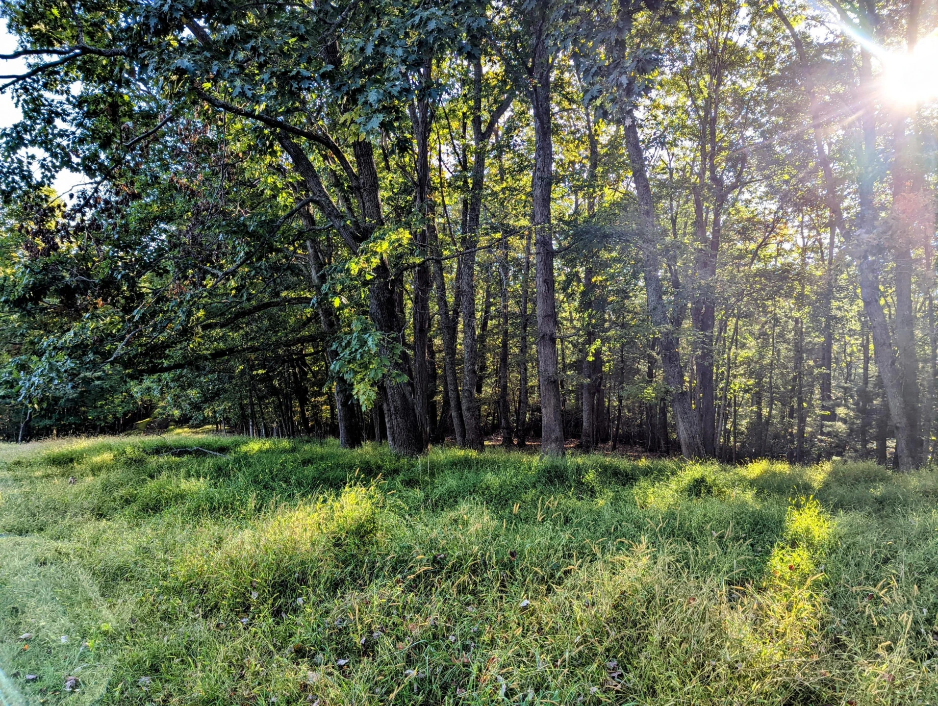 0 Laurel Creek RD - Photo 16