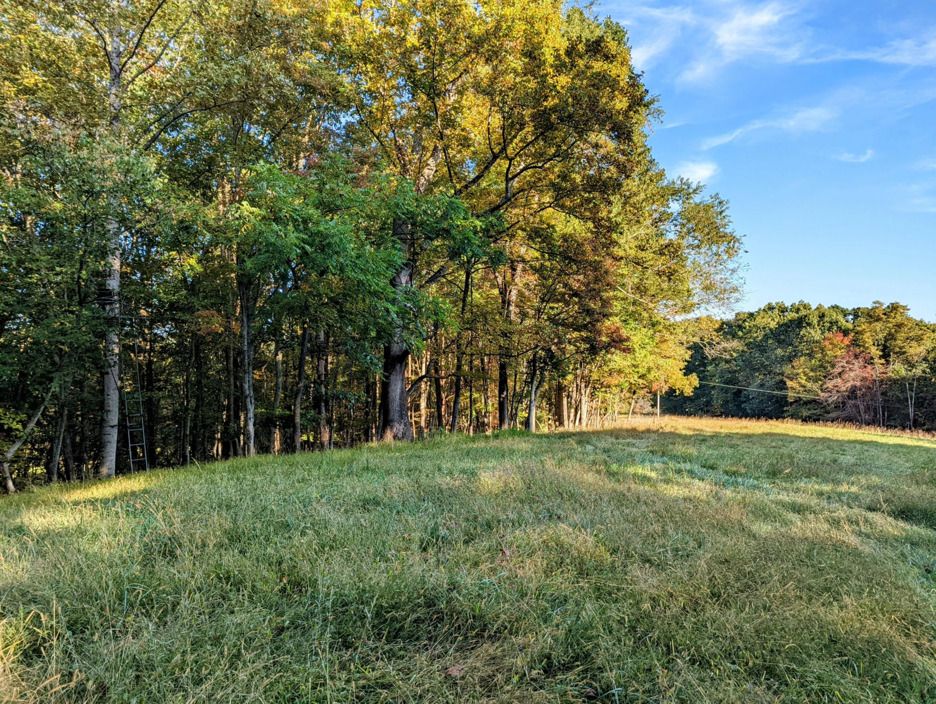 0 Laurel Creek RD - Photo 17