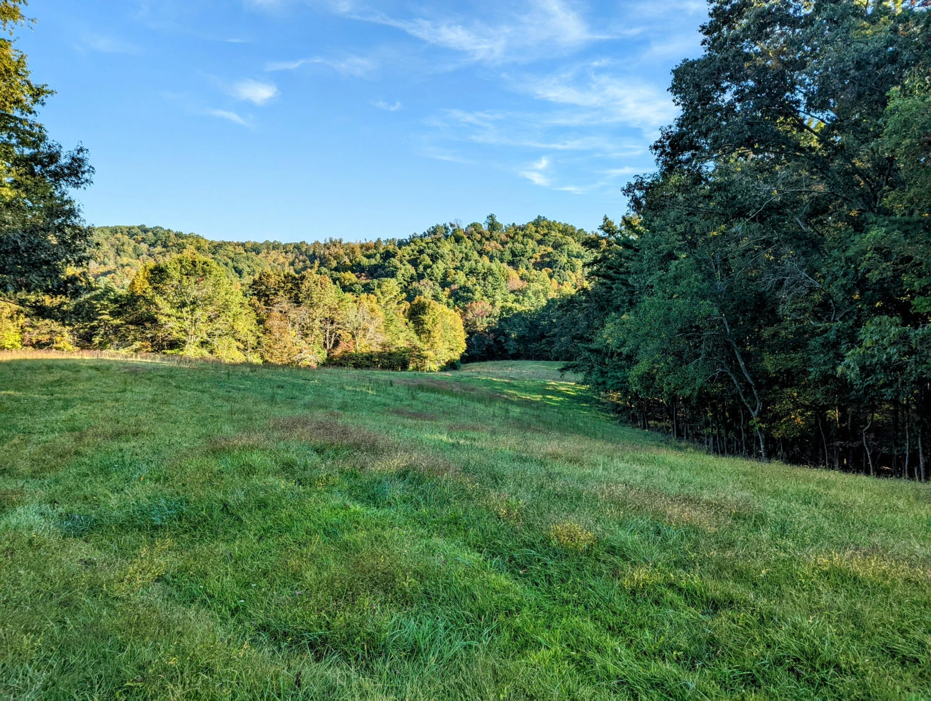 0 Laurel Creek RD - Photo 18