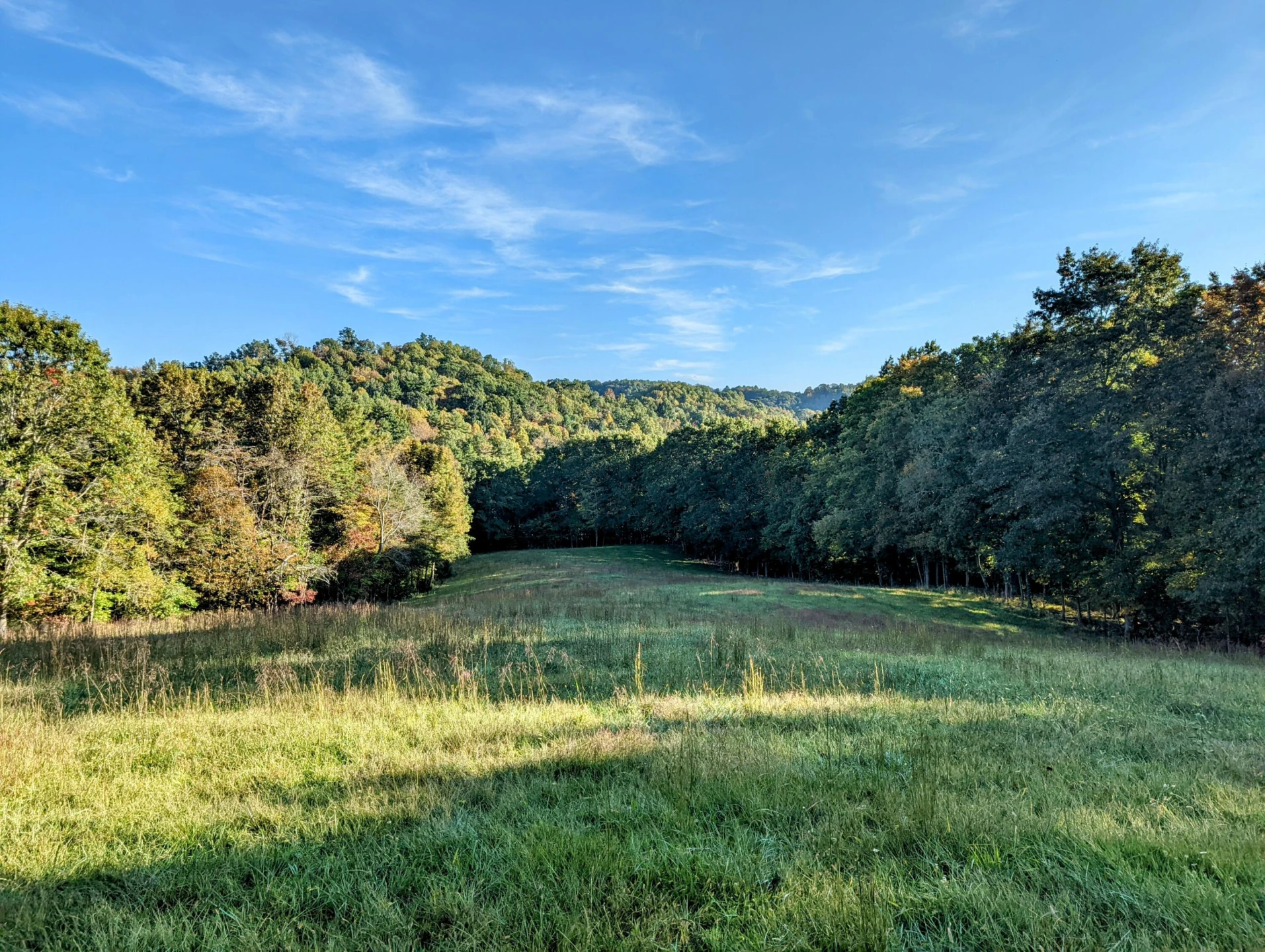 0 Laurel Creek RD - Photo 19