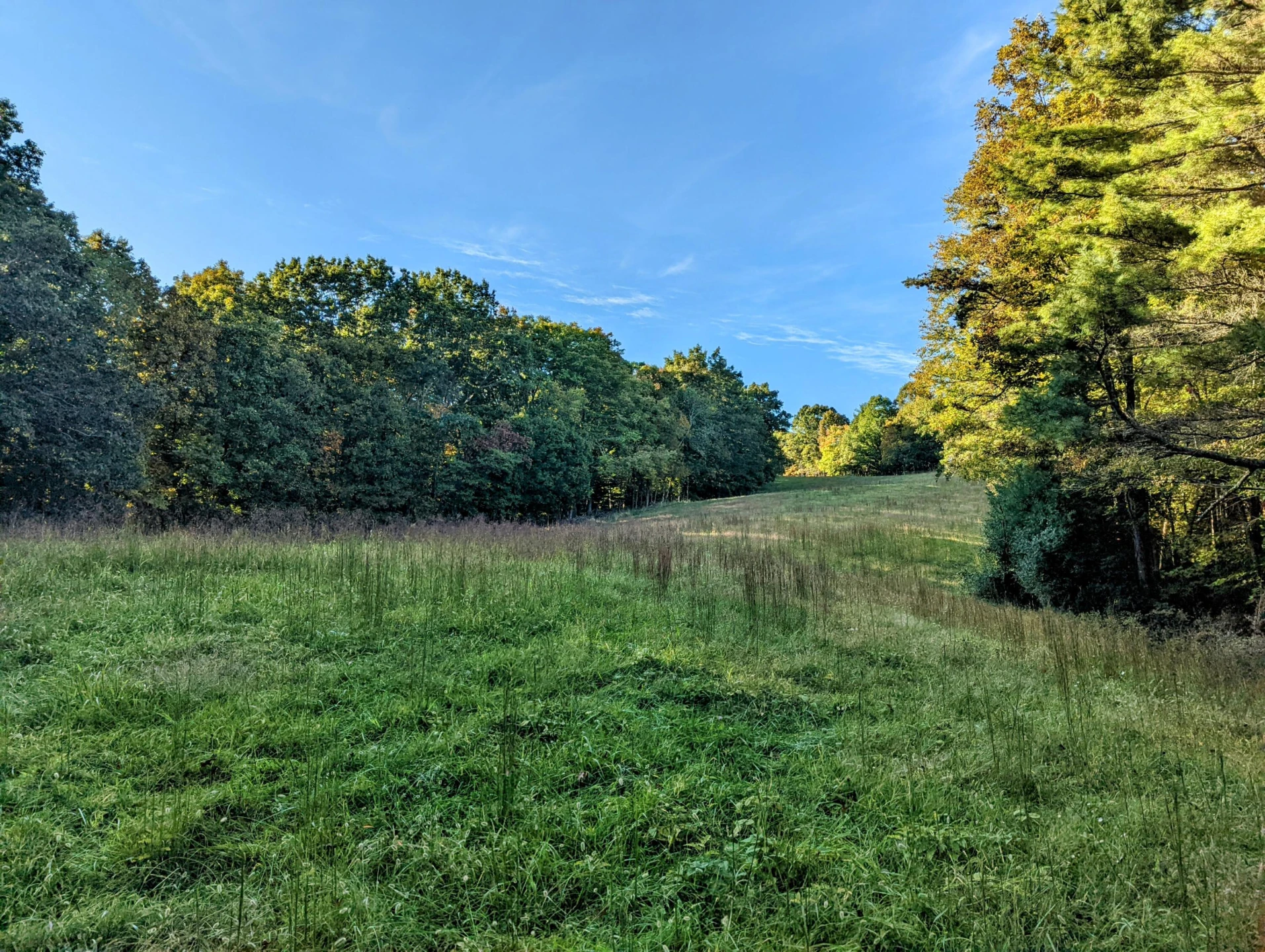 0 Laurel Creek RD - Photo 20