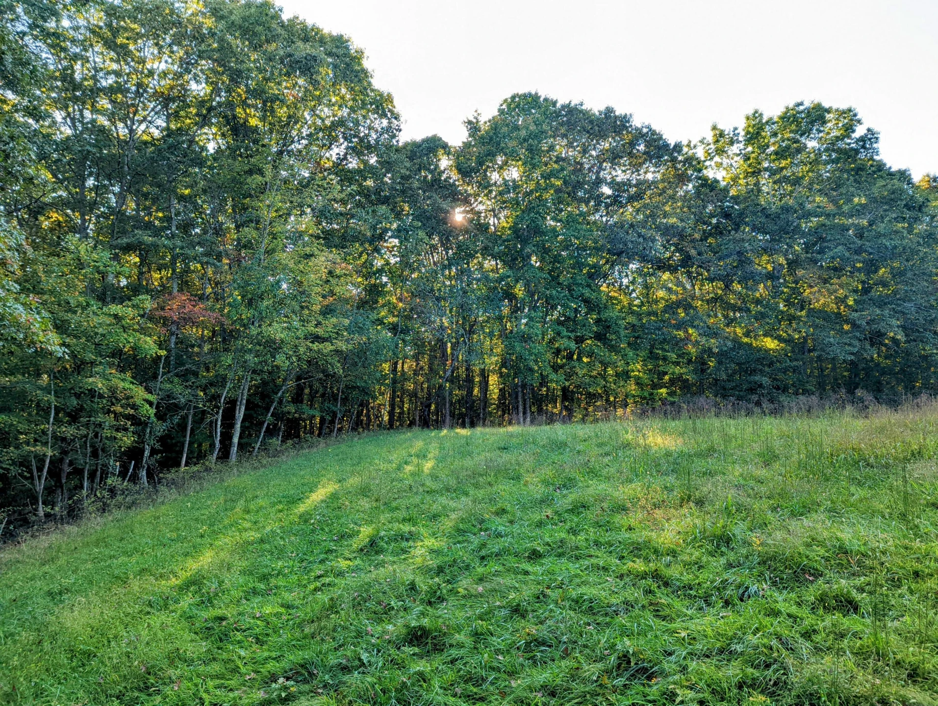 0 Laurel Creek RD - Photo 21