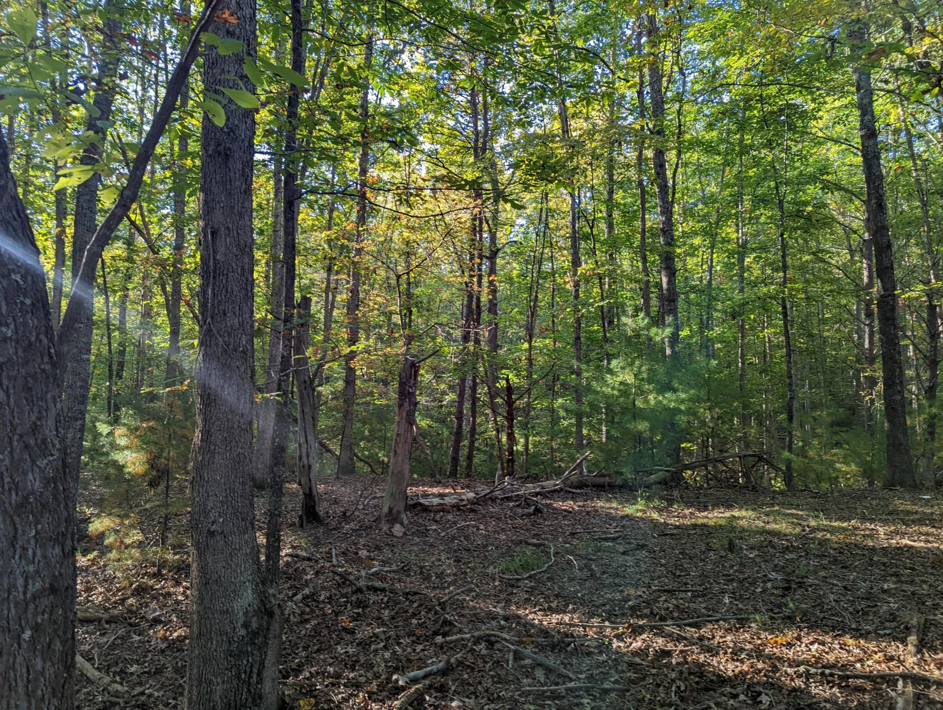 0 Laurel Creek RD - Photo 23