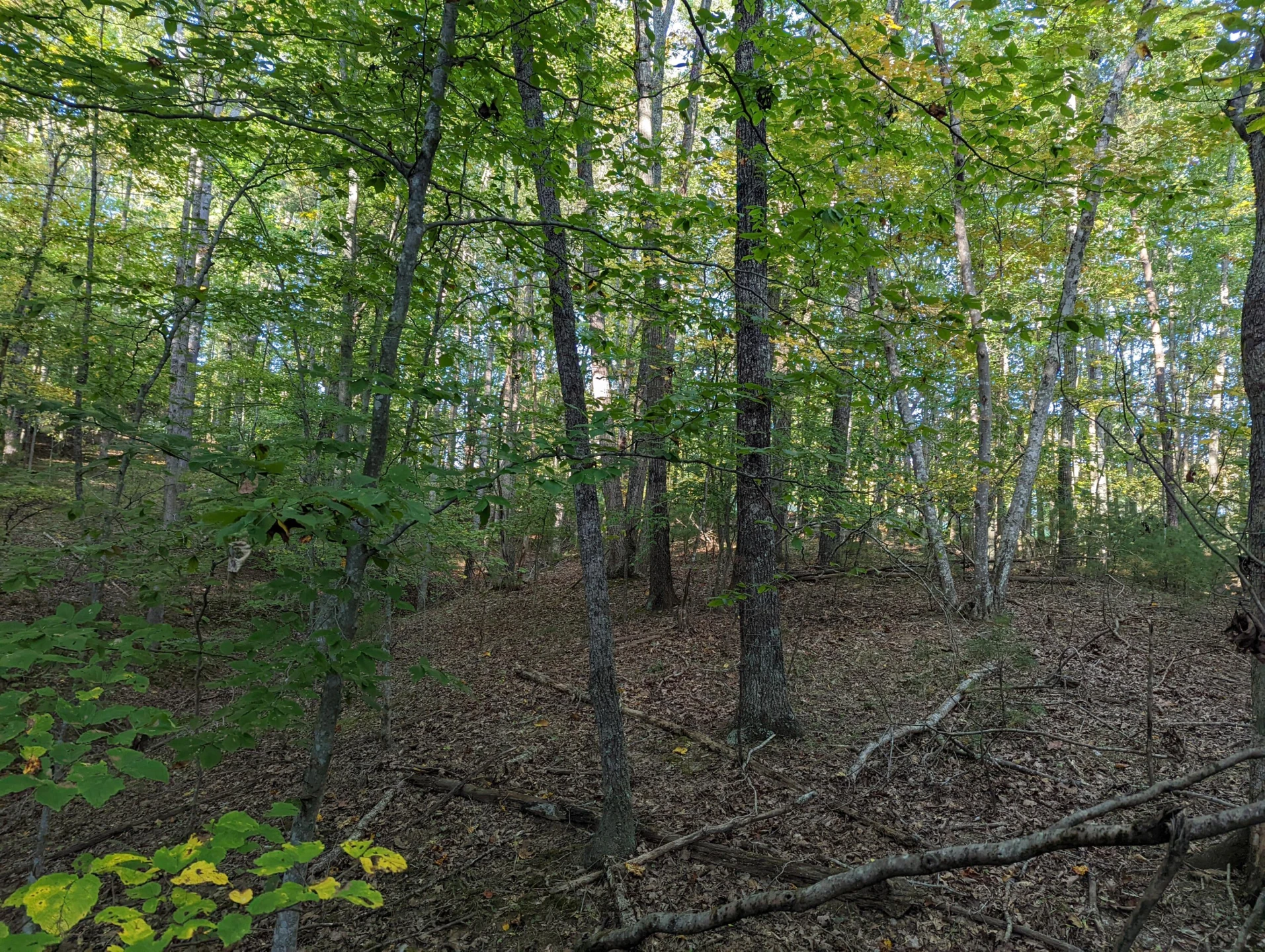 0 Laurel Creek RD - Photo 24
