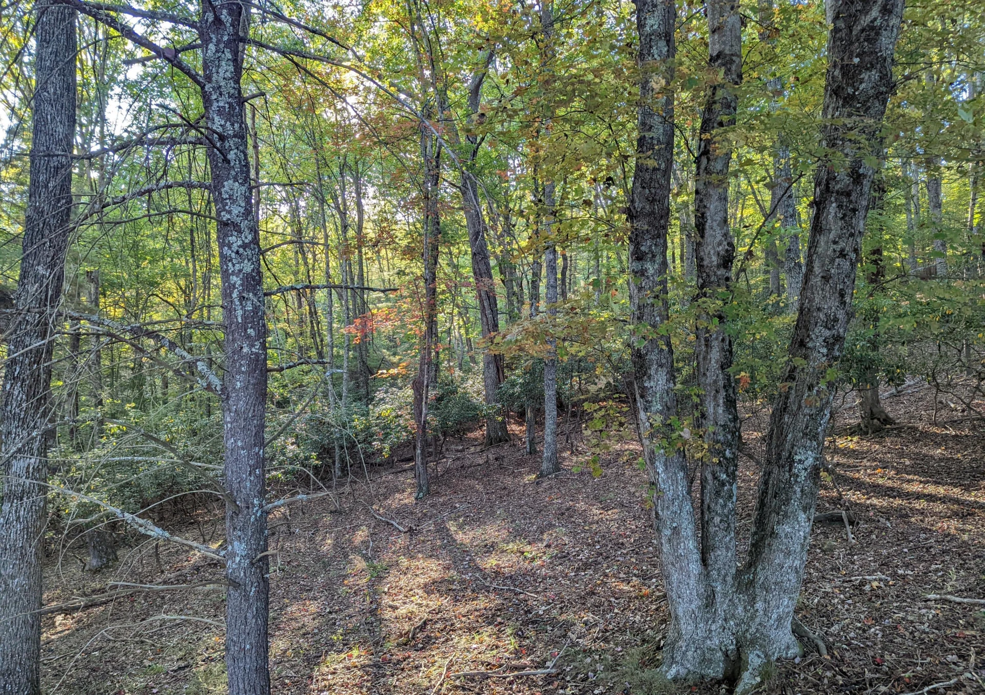 0 Laurel Creek RD - Photo 25
