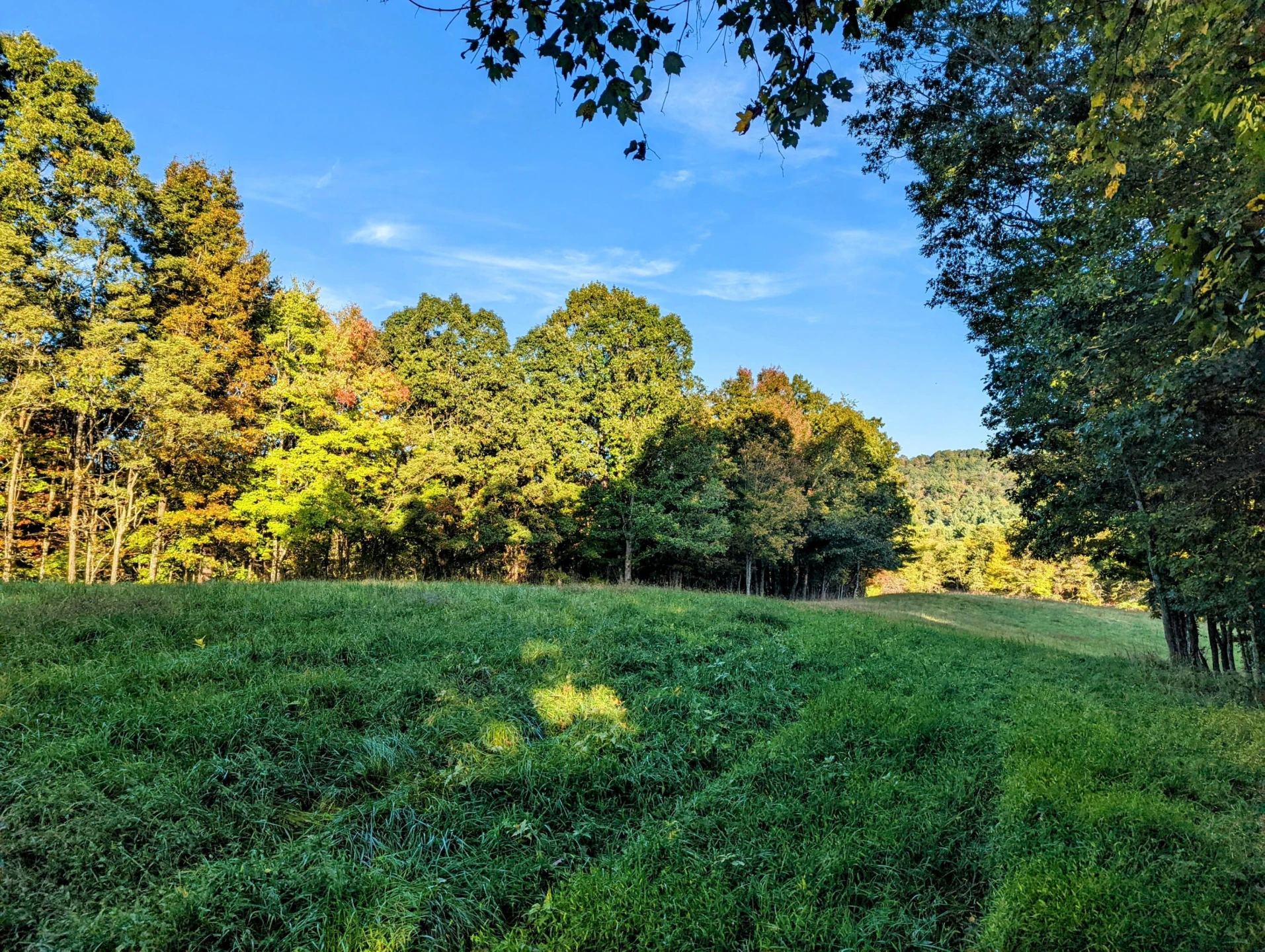 0 Laurel Creek RD - Photo 26