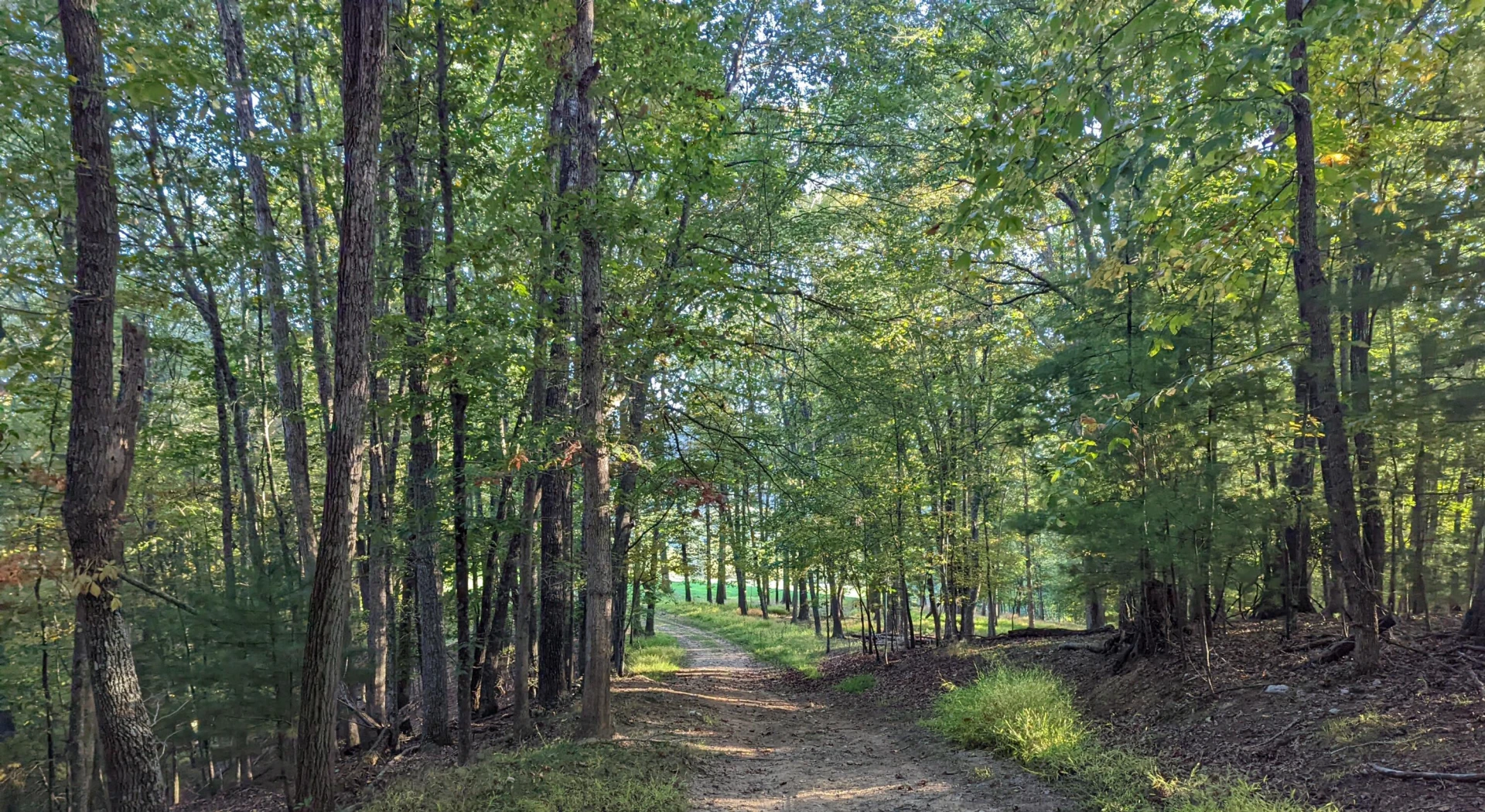 0 Laurel Creek RD - Photo 27
