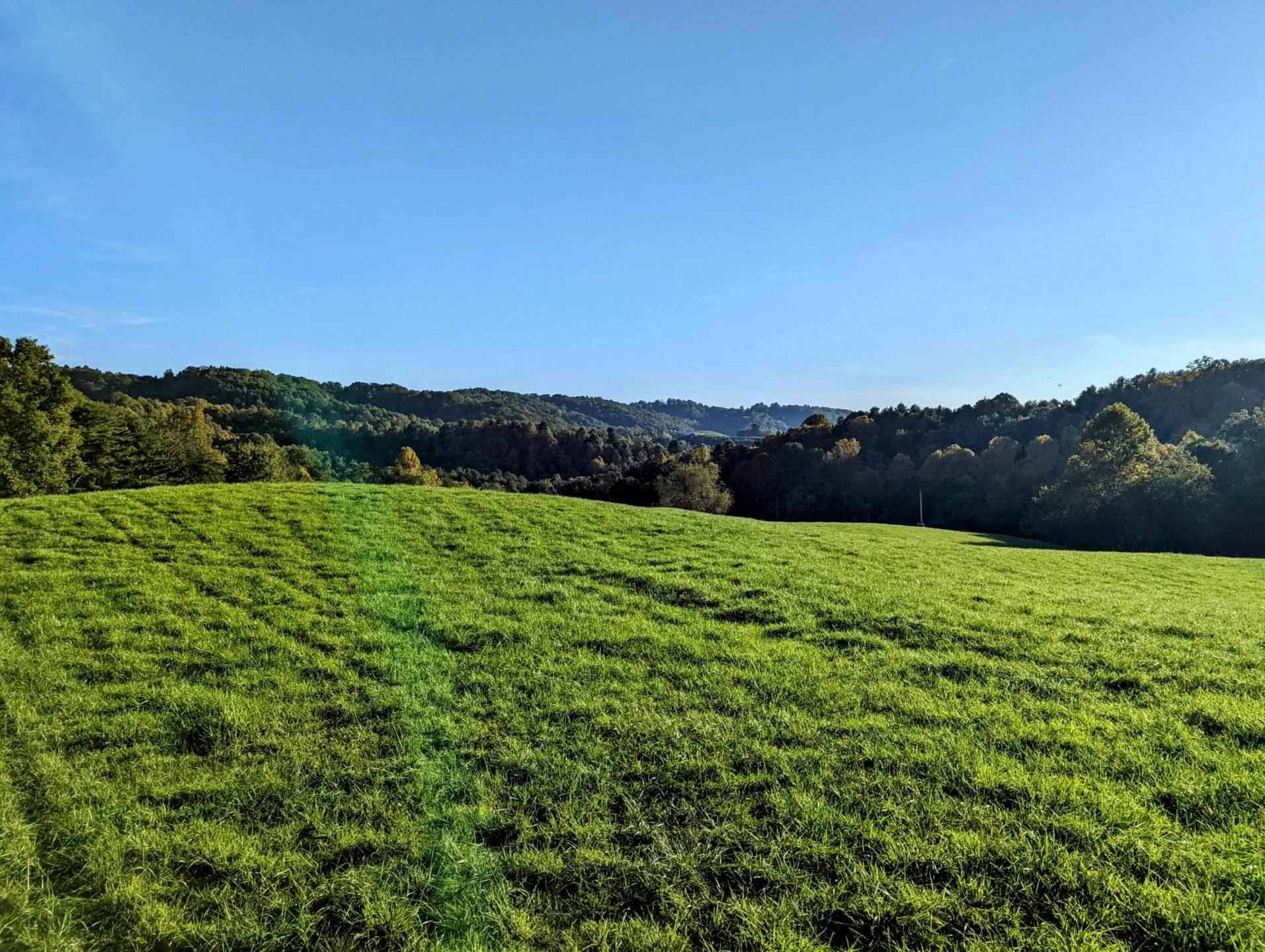 0 Laurel Creek RD - Photo 29