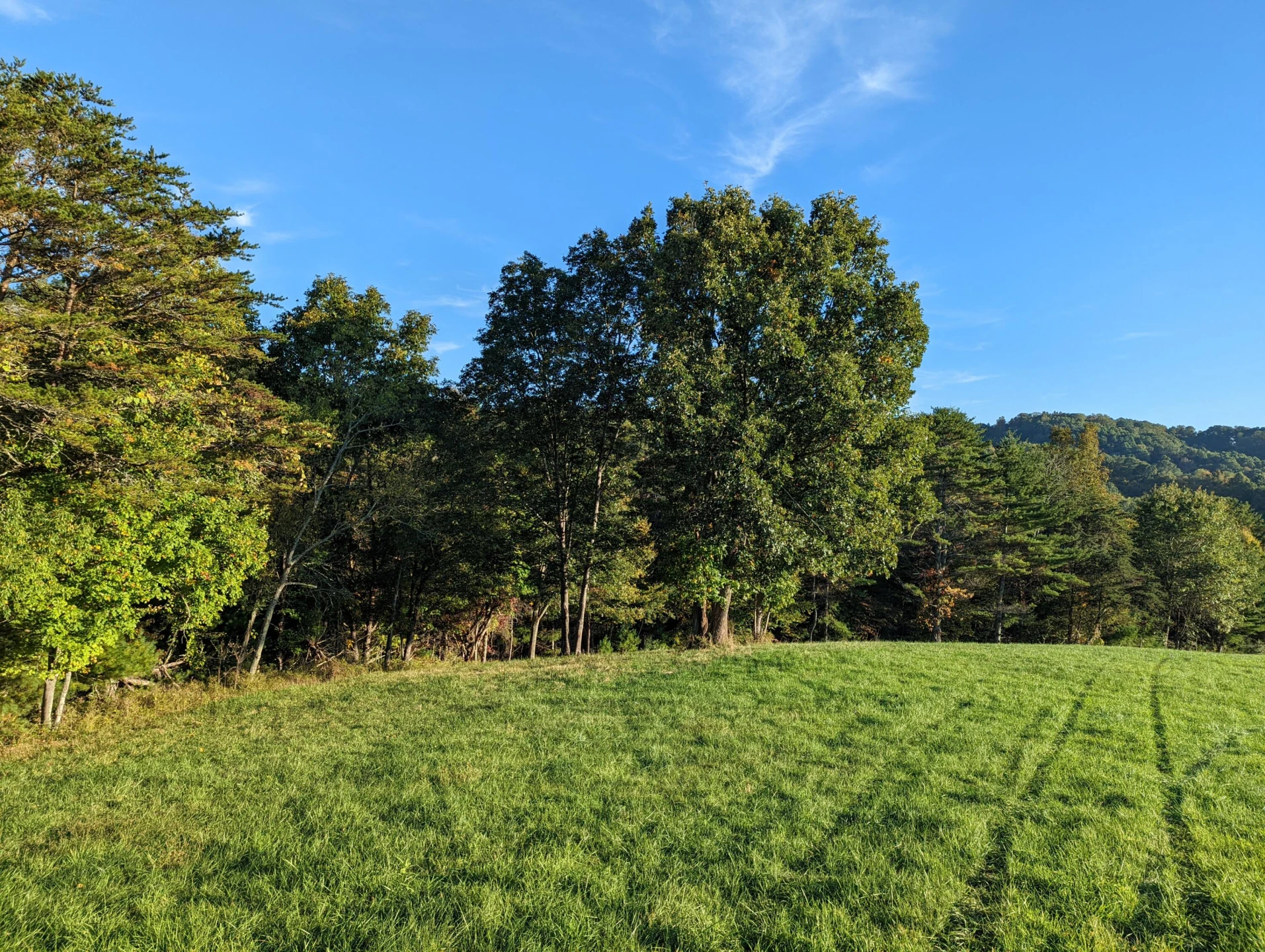 0 Laurel Creek RD - Photo 30