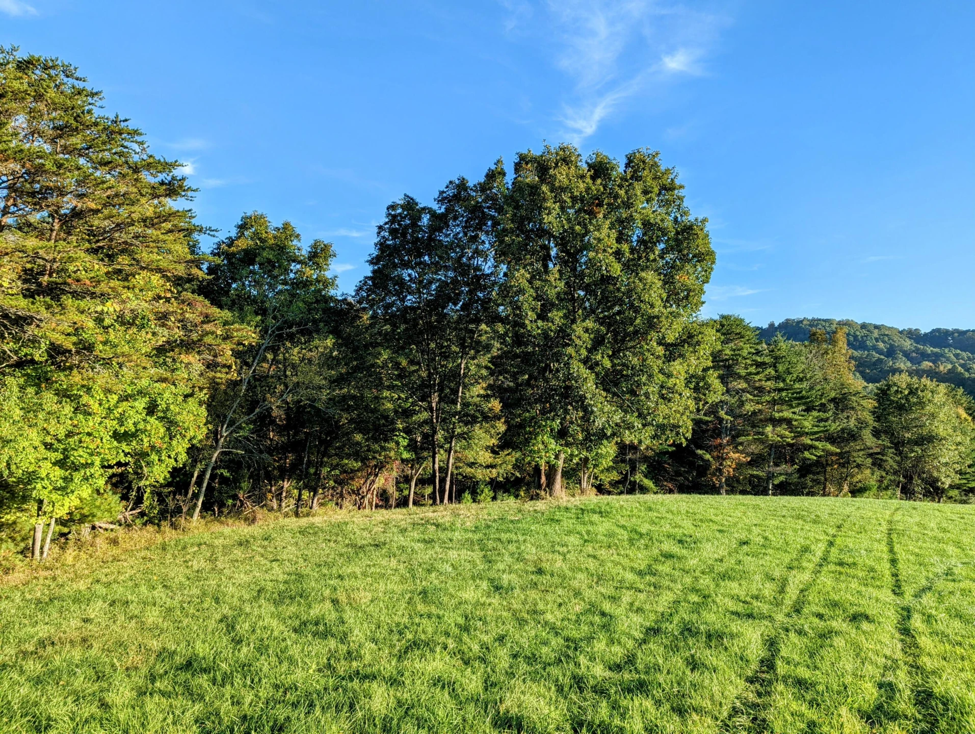 0 Laurel Creek RD - Photo 31