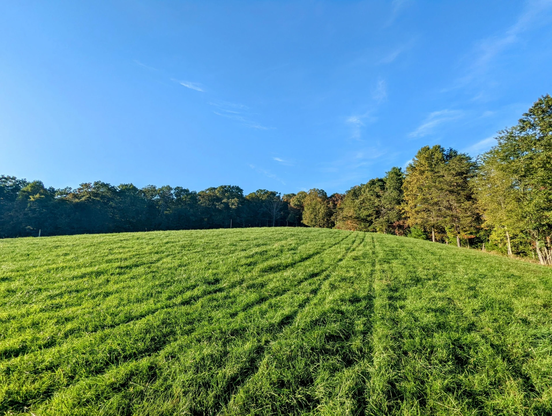 0 Laurel Creek RD - Photo 33