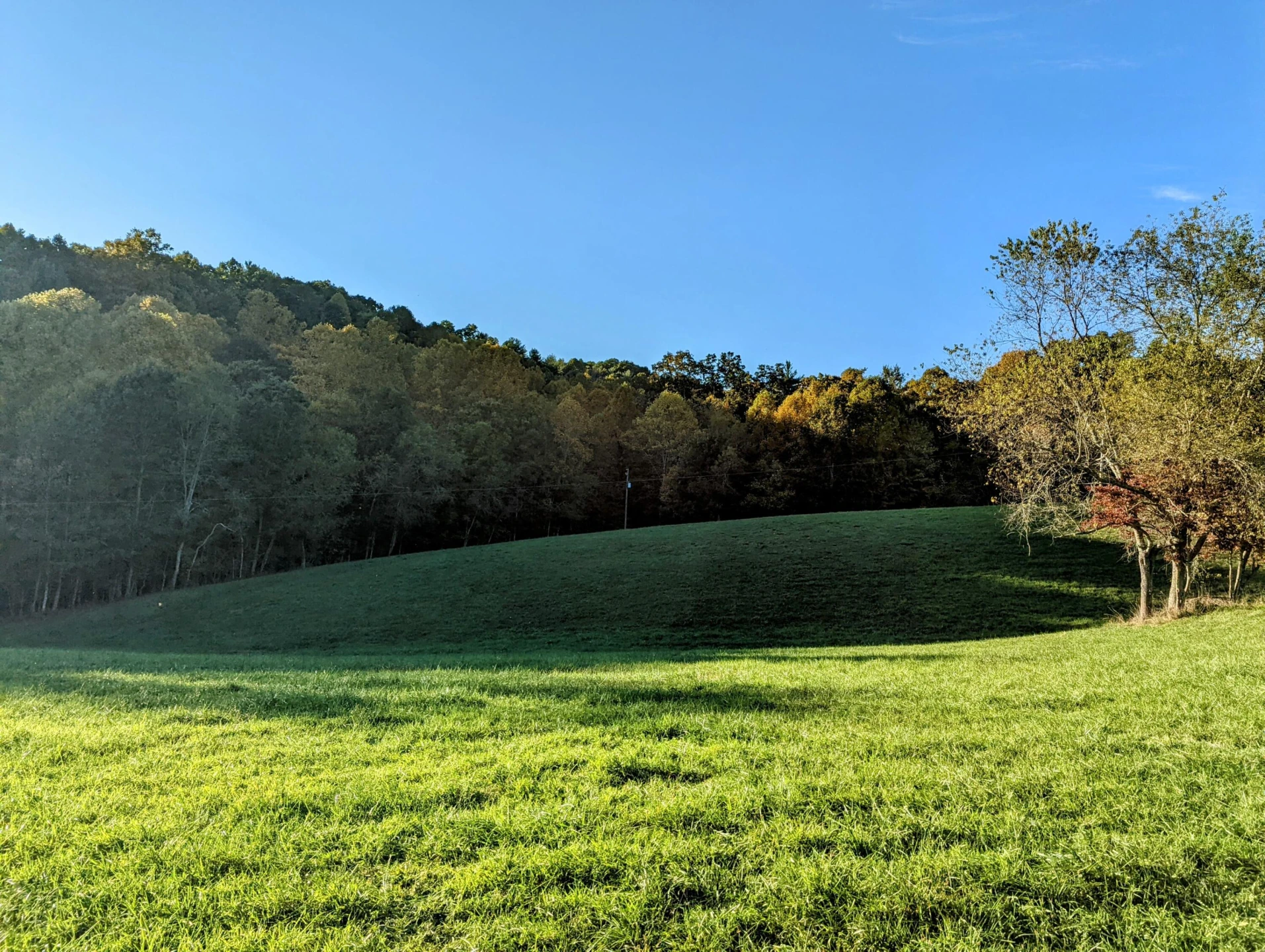 0 Laurel Creek RD - Photo 34