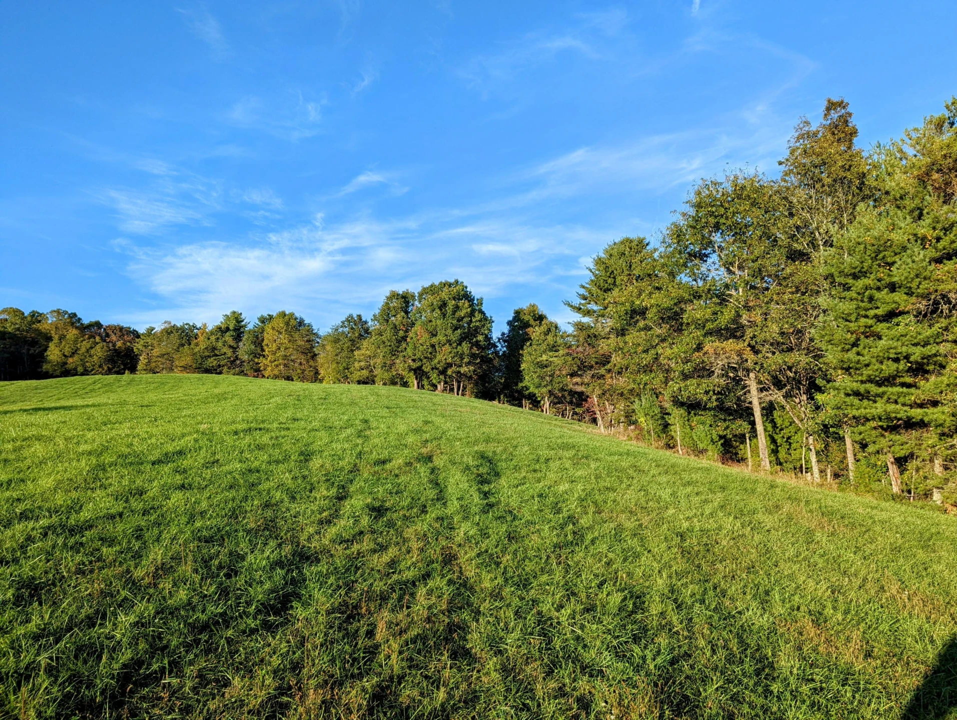 0 Laurel Creek RD - Photo 36