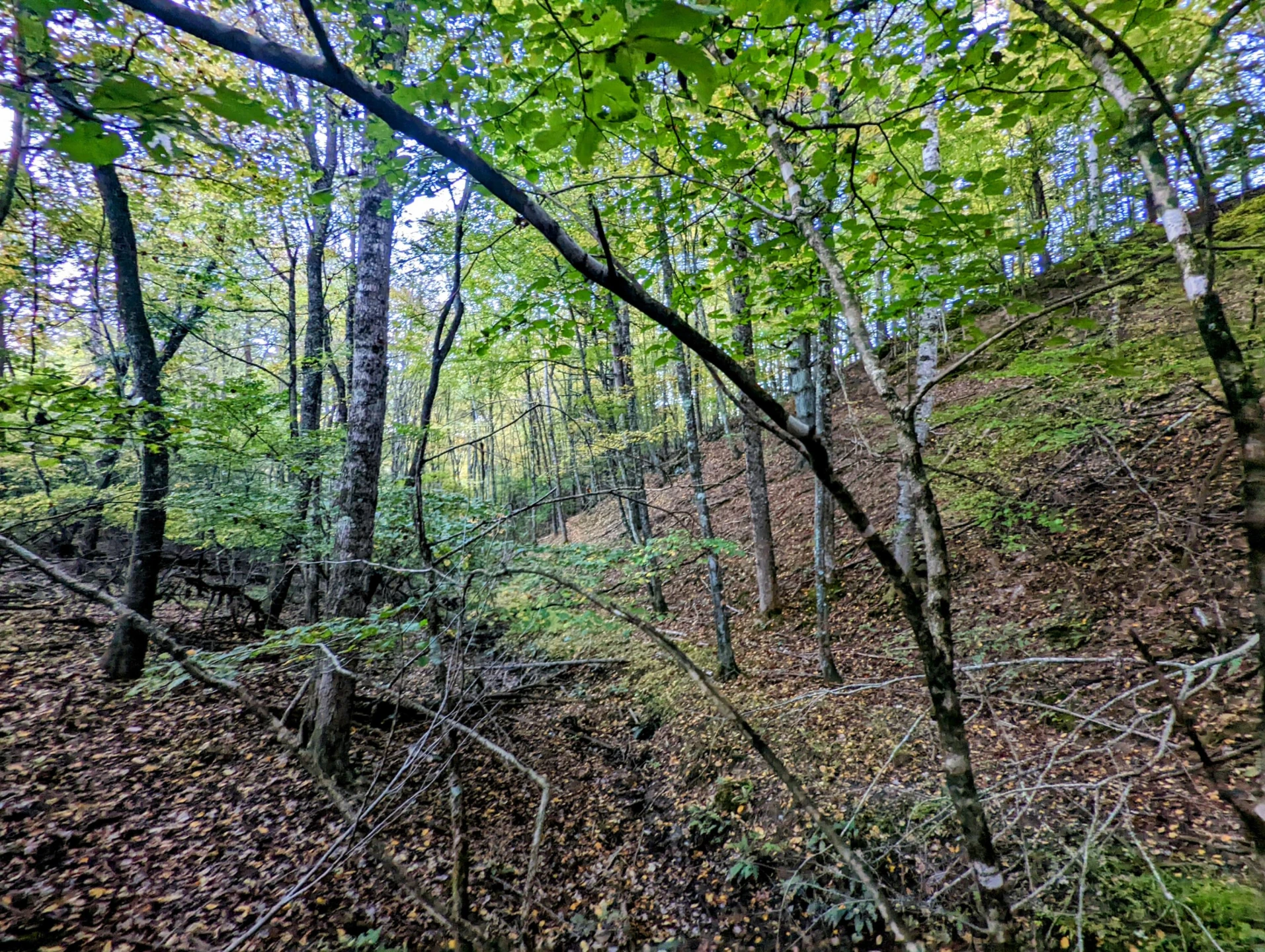 0 Laurel Creek RD - Photo 37