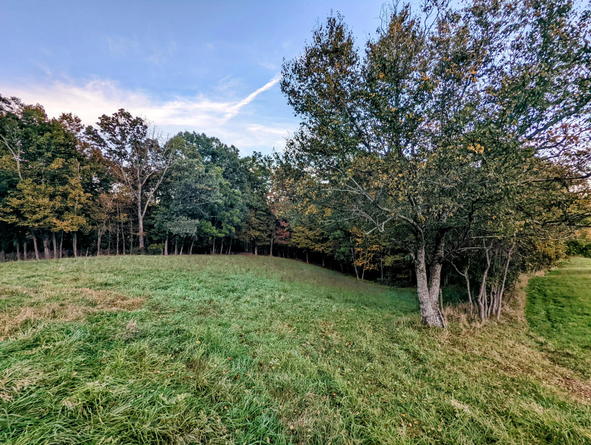 0 Laurel Creek RD - Photo 38