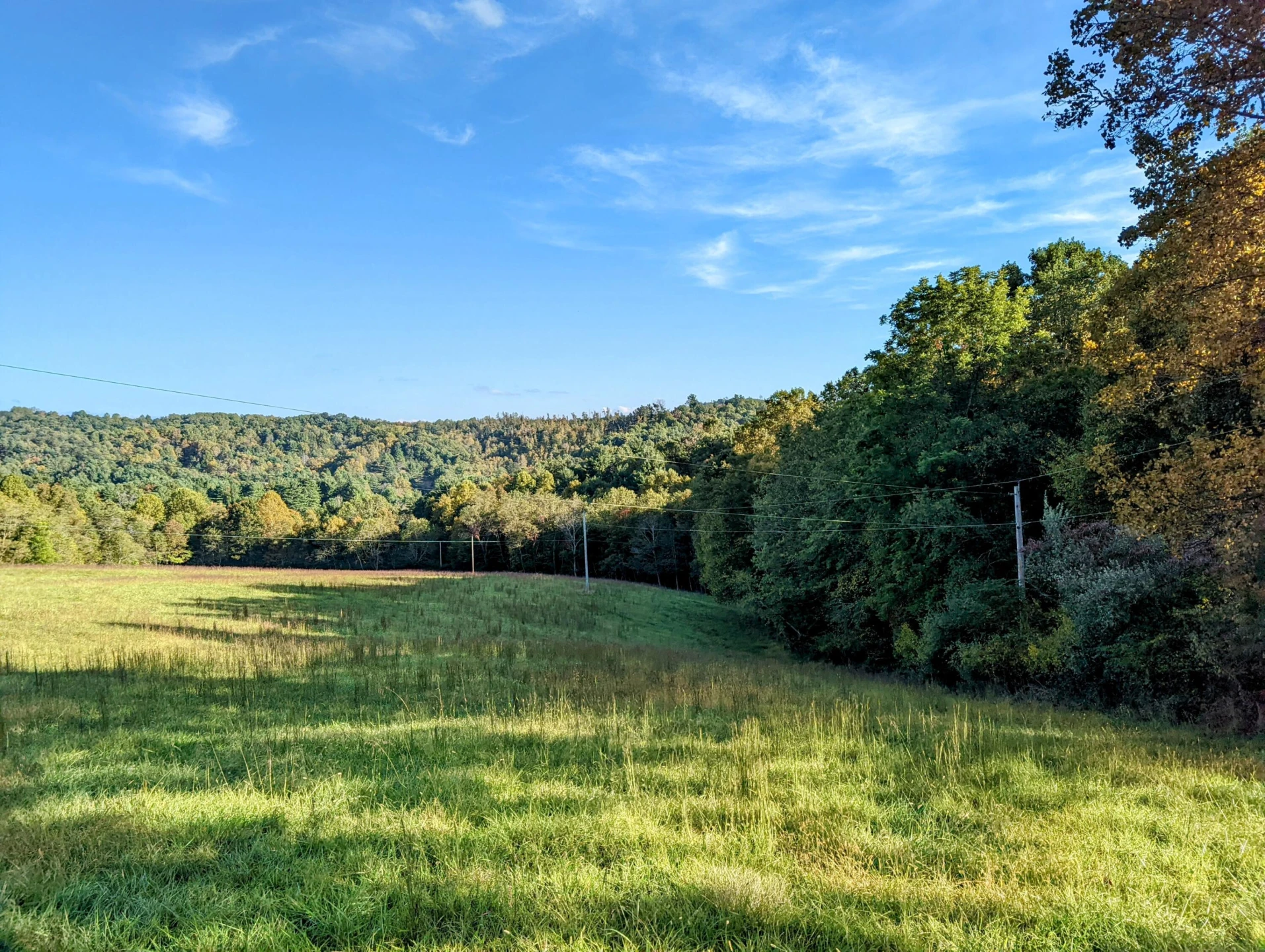 0 Laurel Creek RD - Photo 4