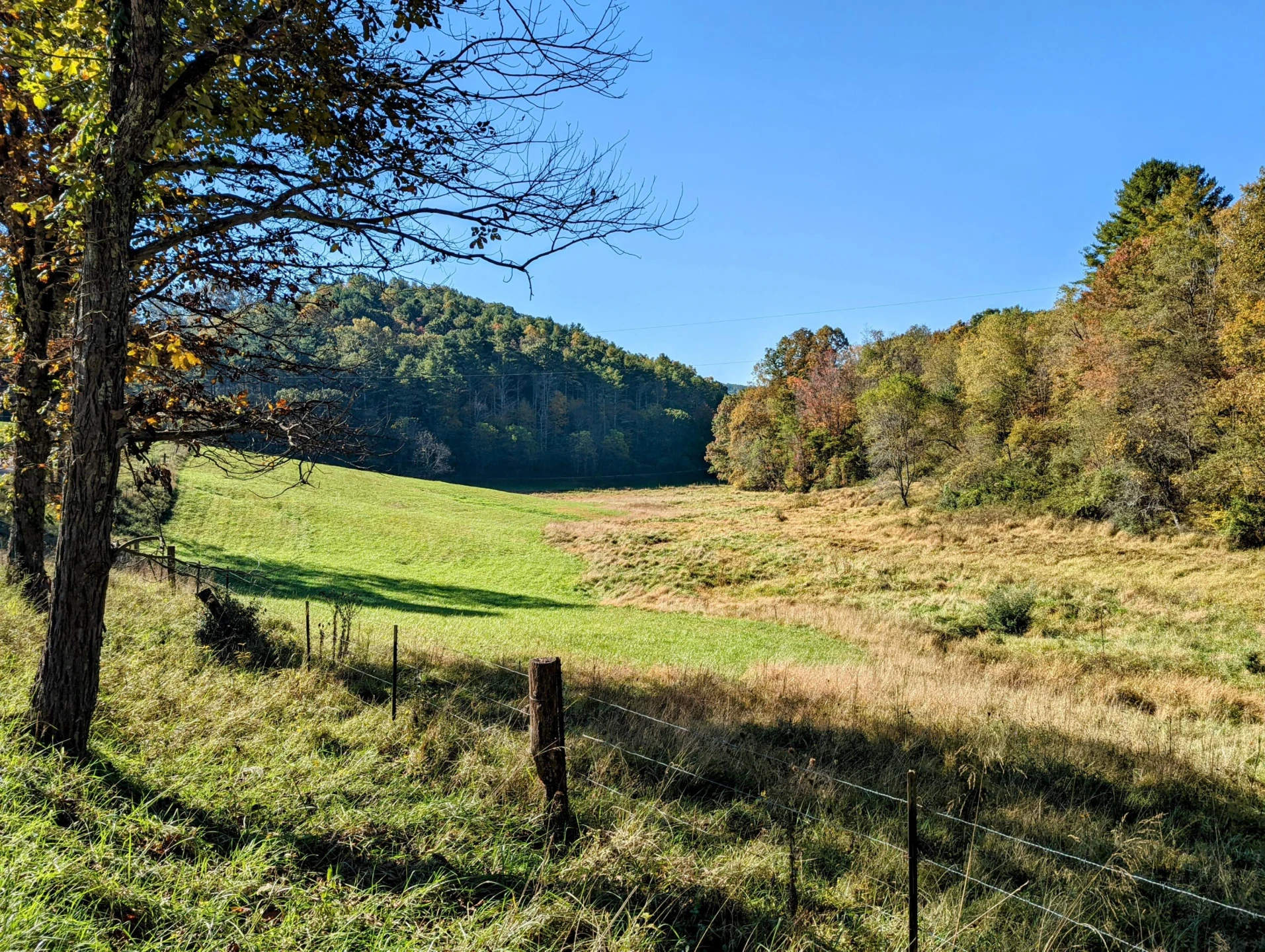 0 Laurel Creek RD - Photo 41